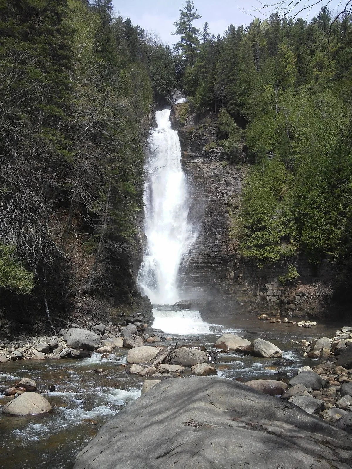 Chutes d'eau dans une forêt avec des rochers au premier plan, arbres verts et ciel en arrière-plan.