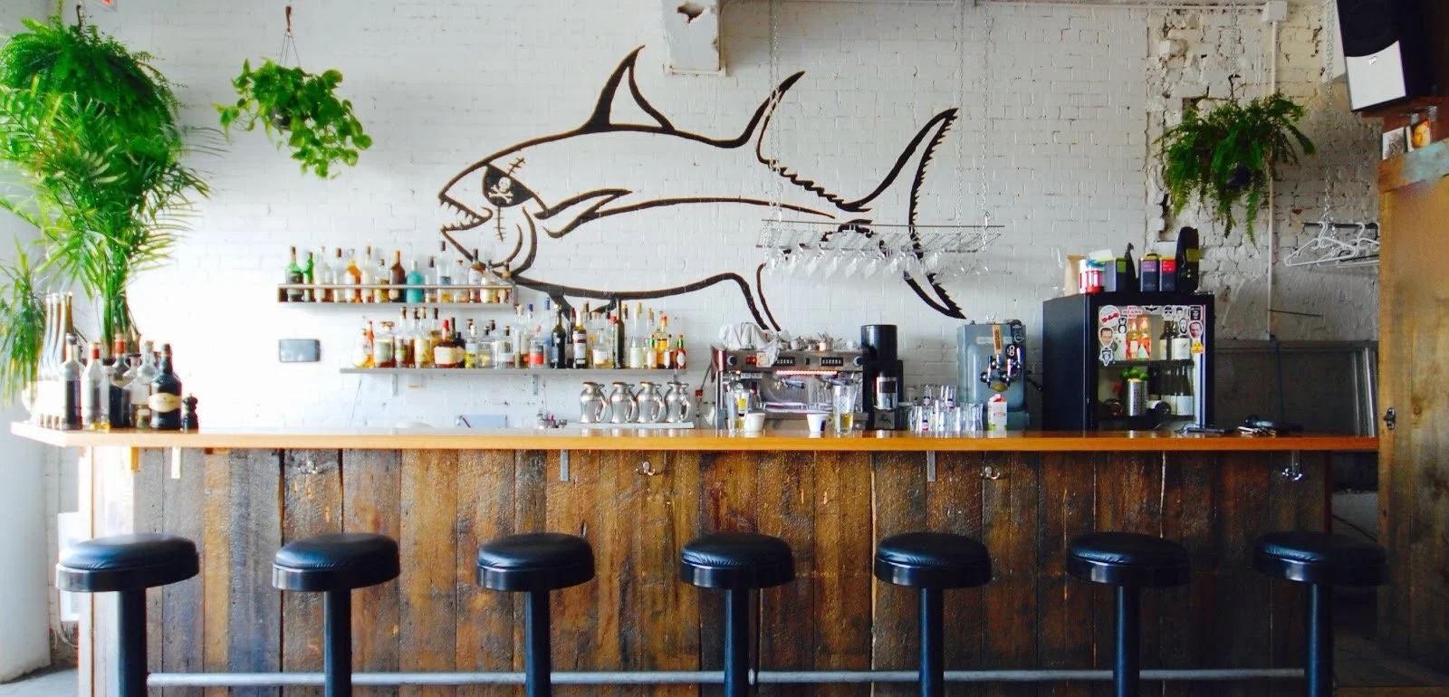 Bar de café avec des sièges en noir, un mur blanc avec une peinture de squale, étagères avec des bouteilles et des verres, plantes vertes décoratives