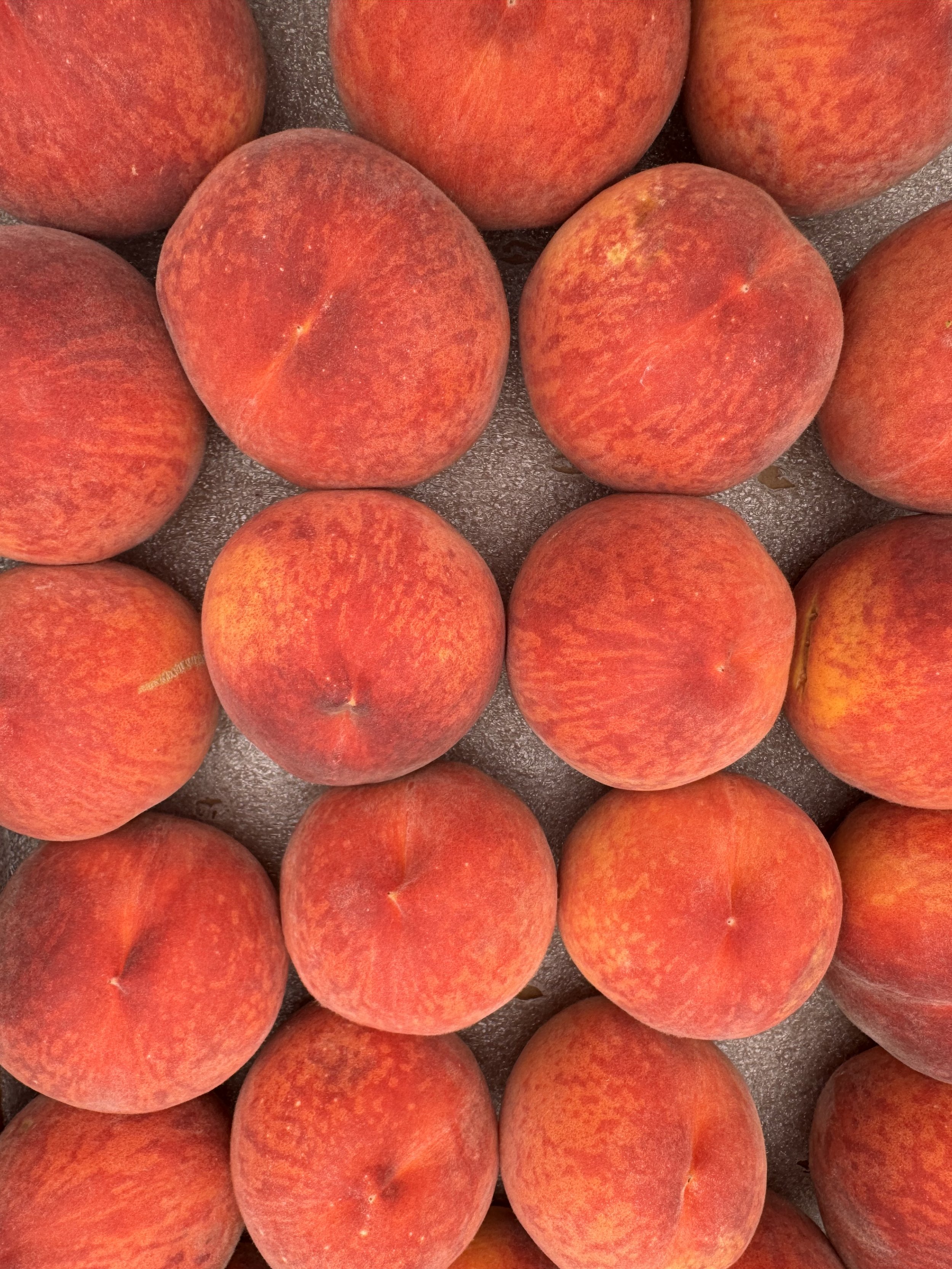 Vail Farmers Market & Art Show 