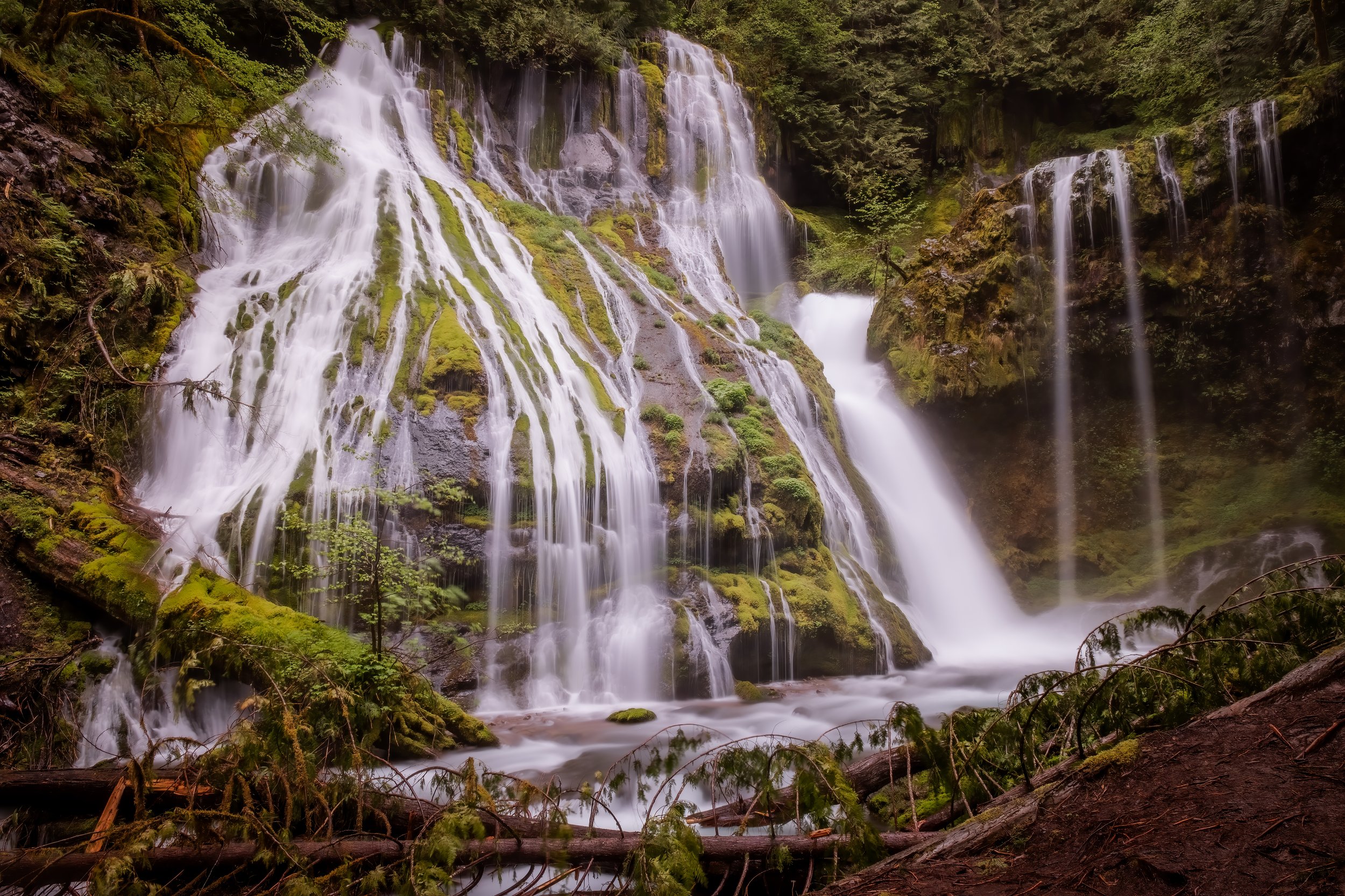 The enormous cascade of Panther Creek Falls, WA.