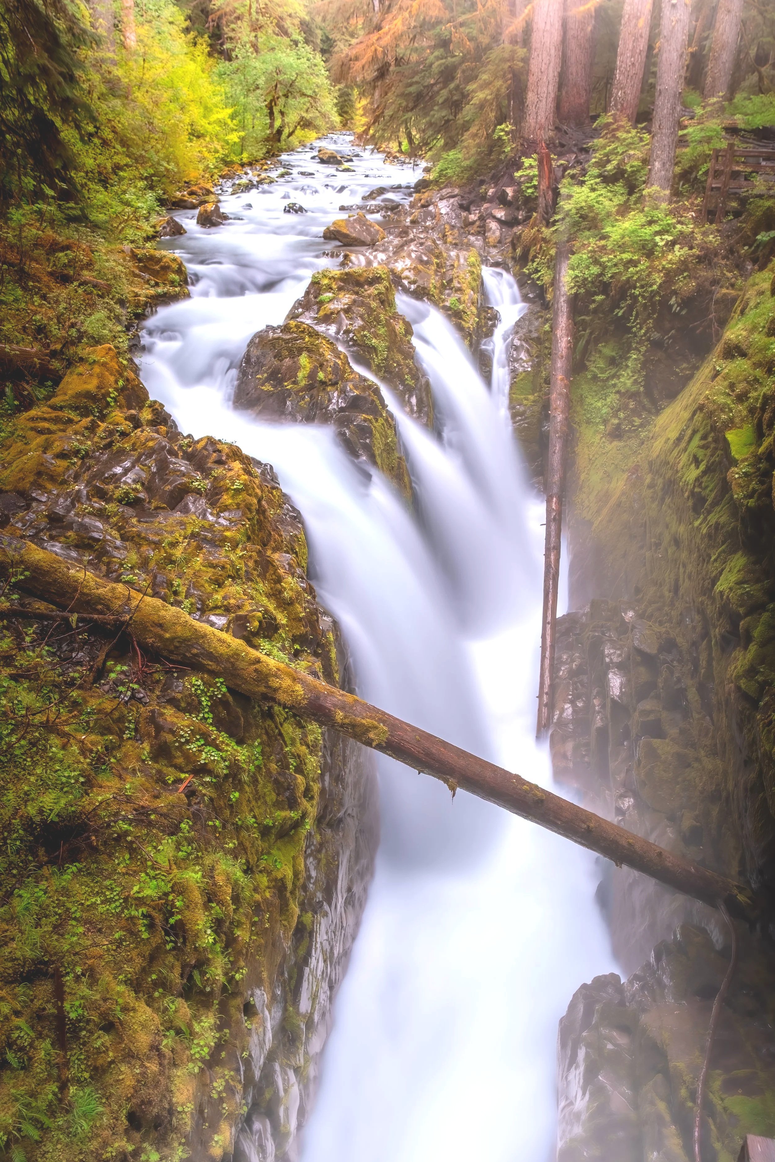 Sol Duc Falls - UltraPro Satin Paper