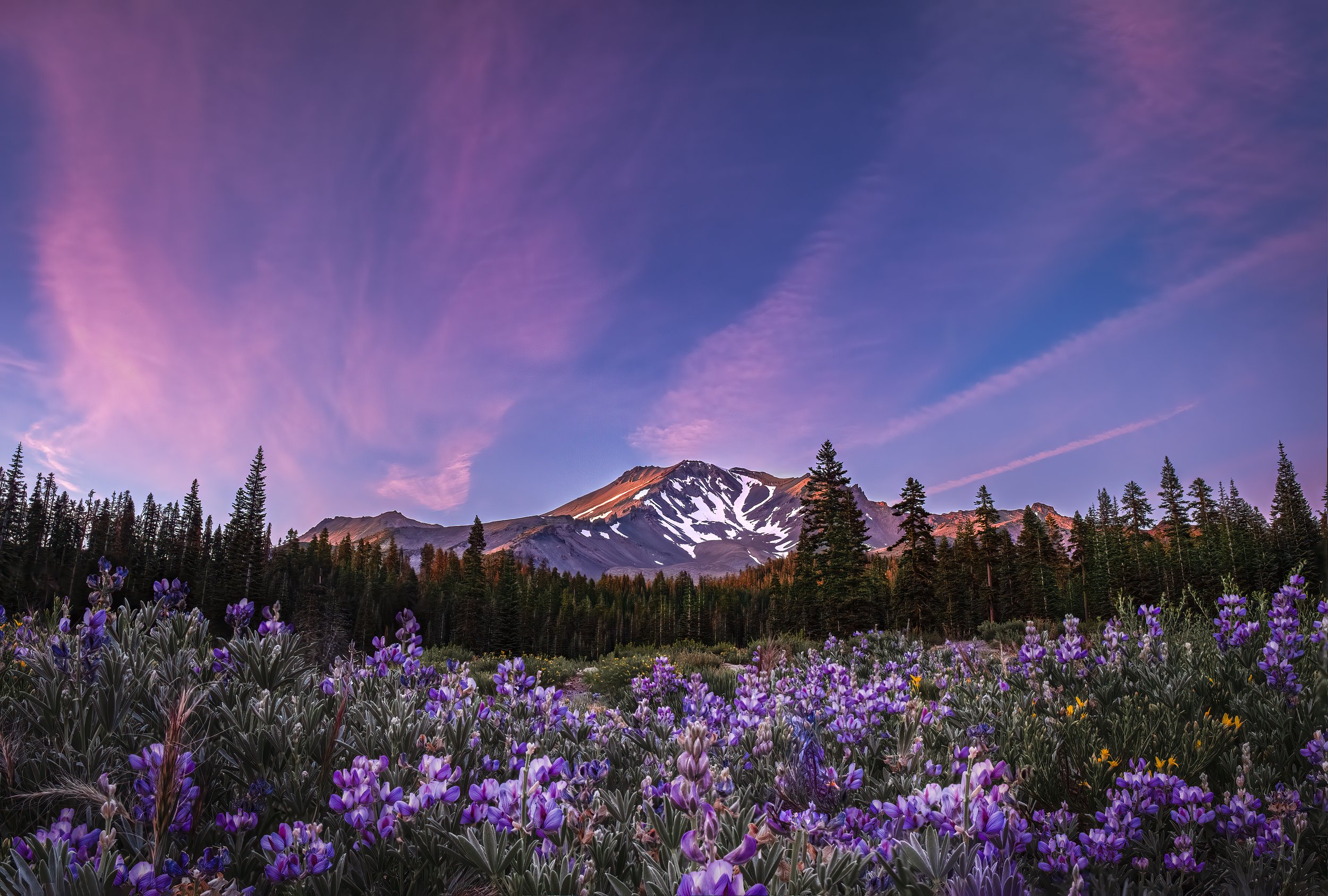 Watching the sunset on Mt. Shasta, from an alpine meadow.