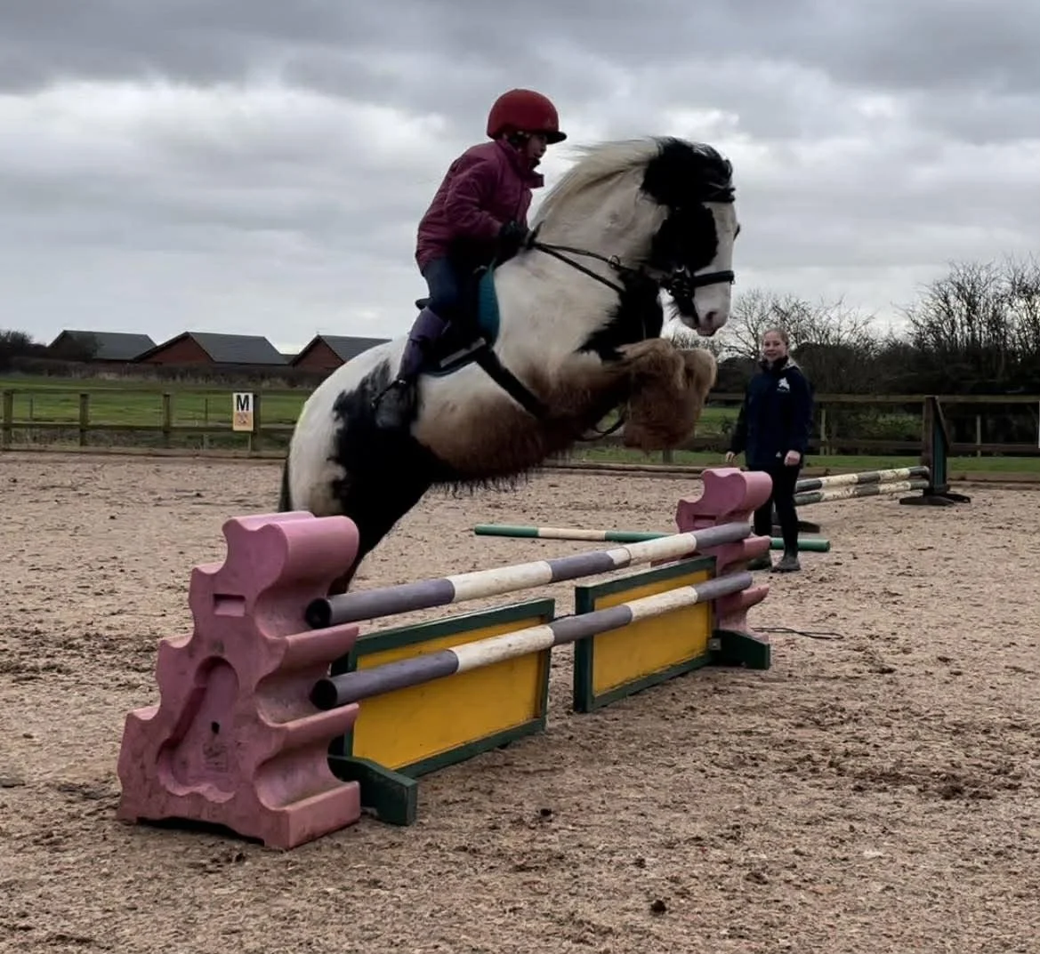 Showjumping Club special