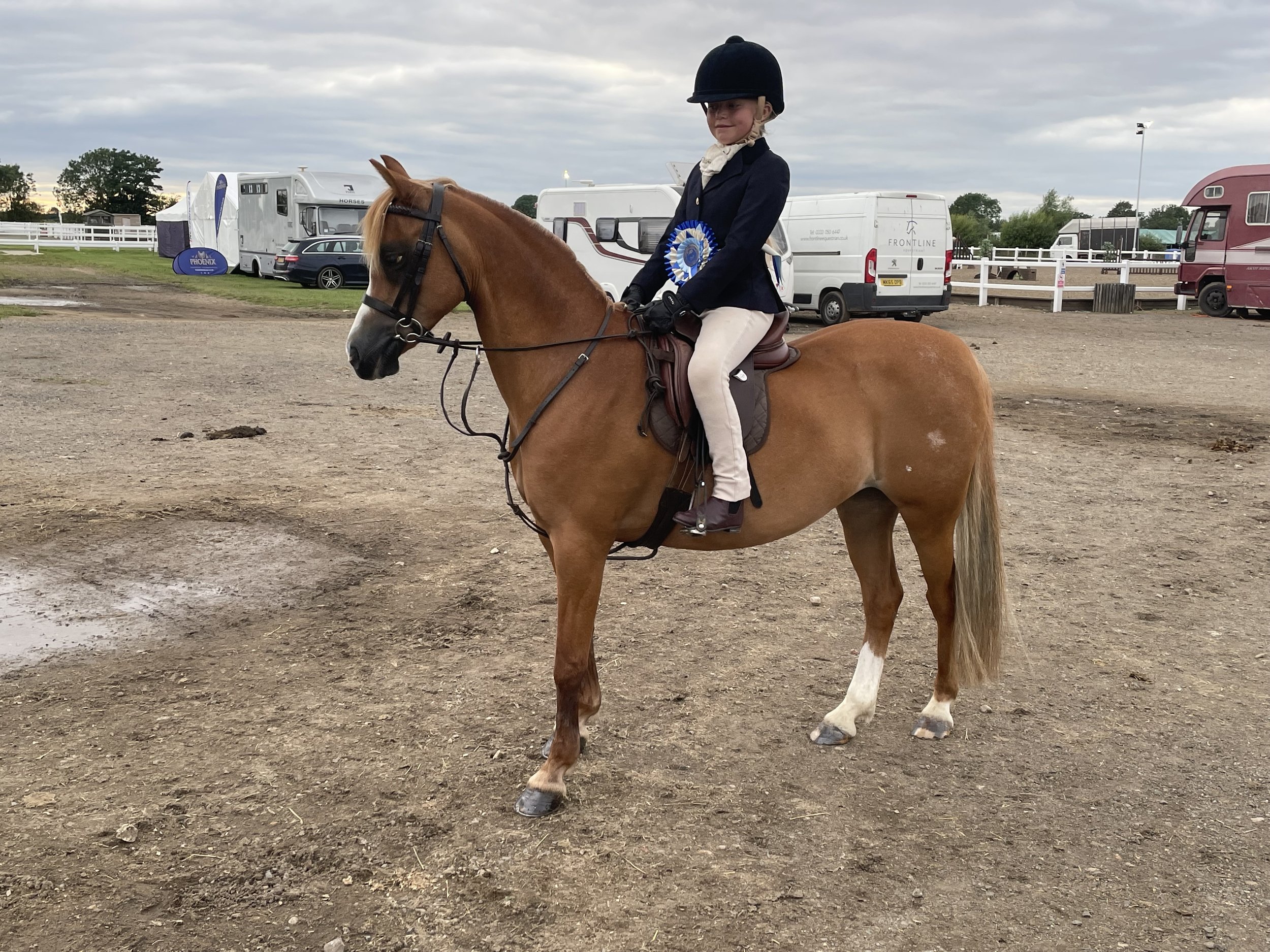 Dressage club 