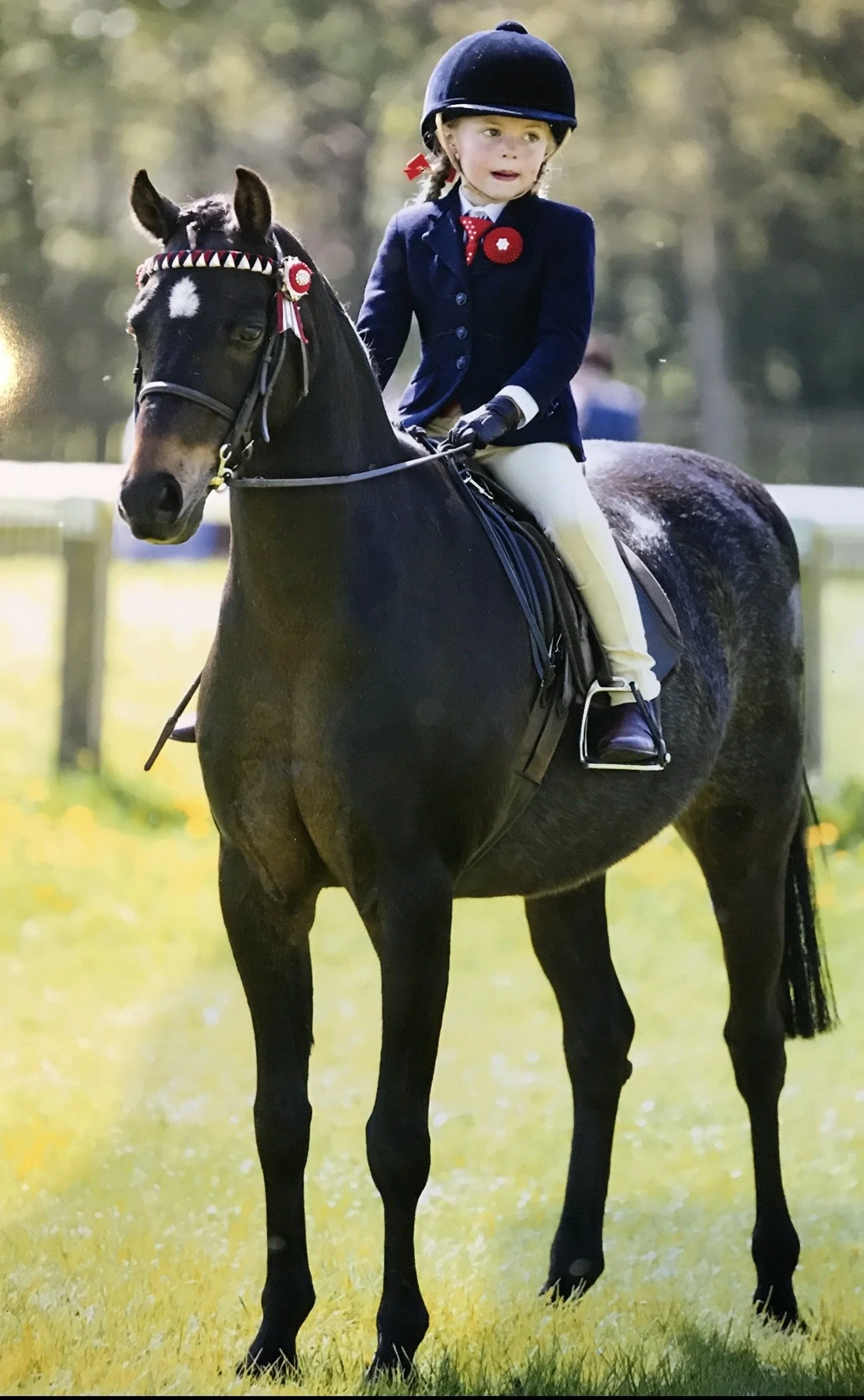 Show ring simulation club