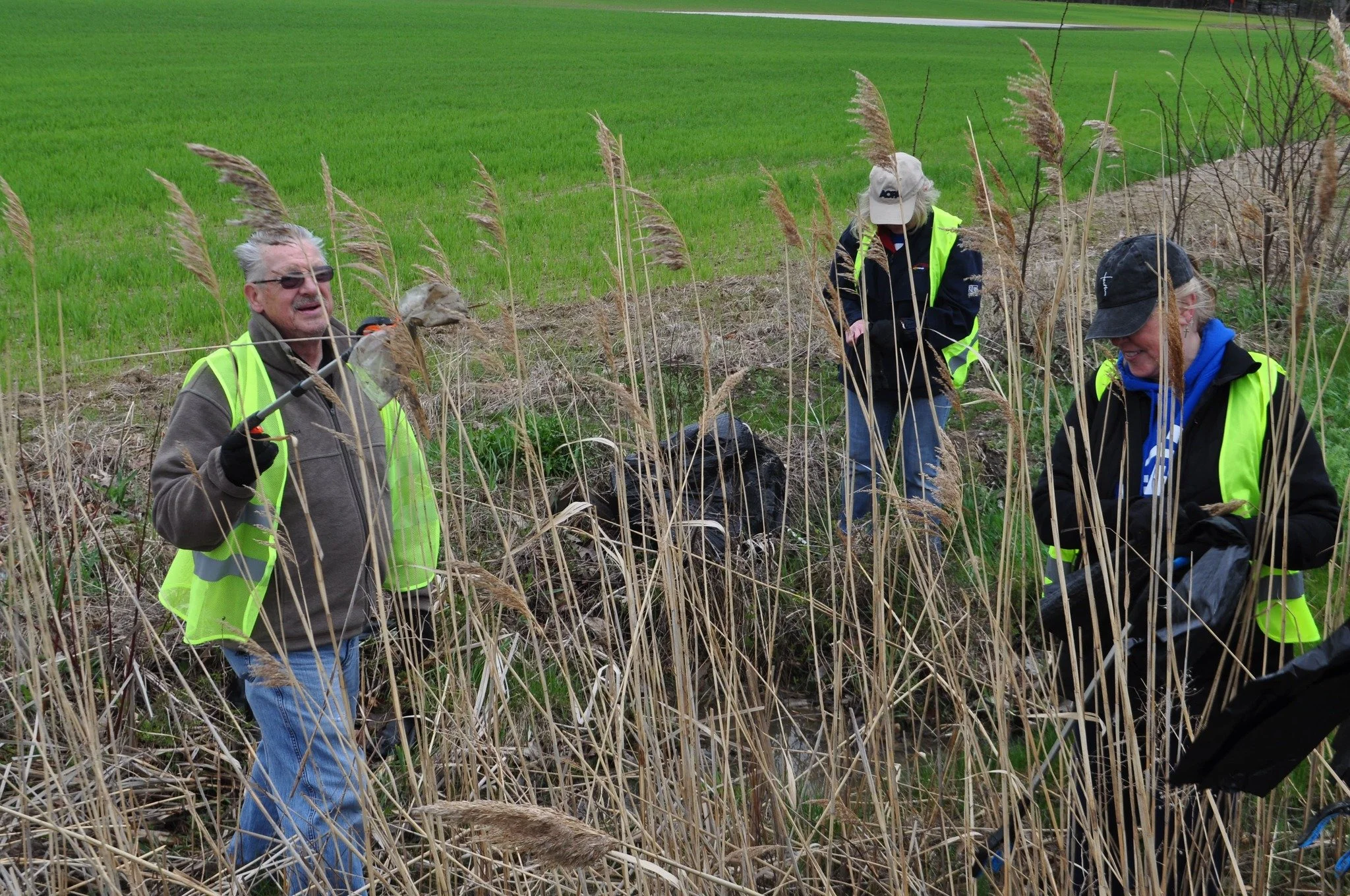 Group of people wearing yellow safety vests collecting samples or data in a wetland with tall, dry grasses, and green rice paddies in the background.