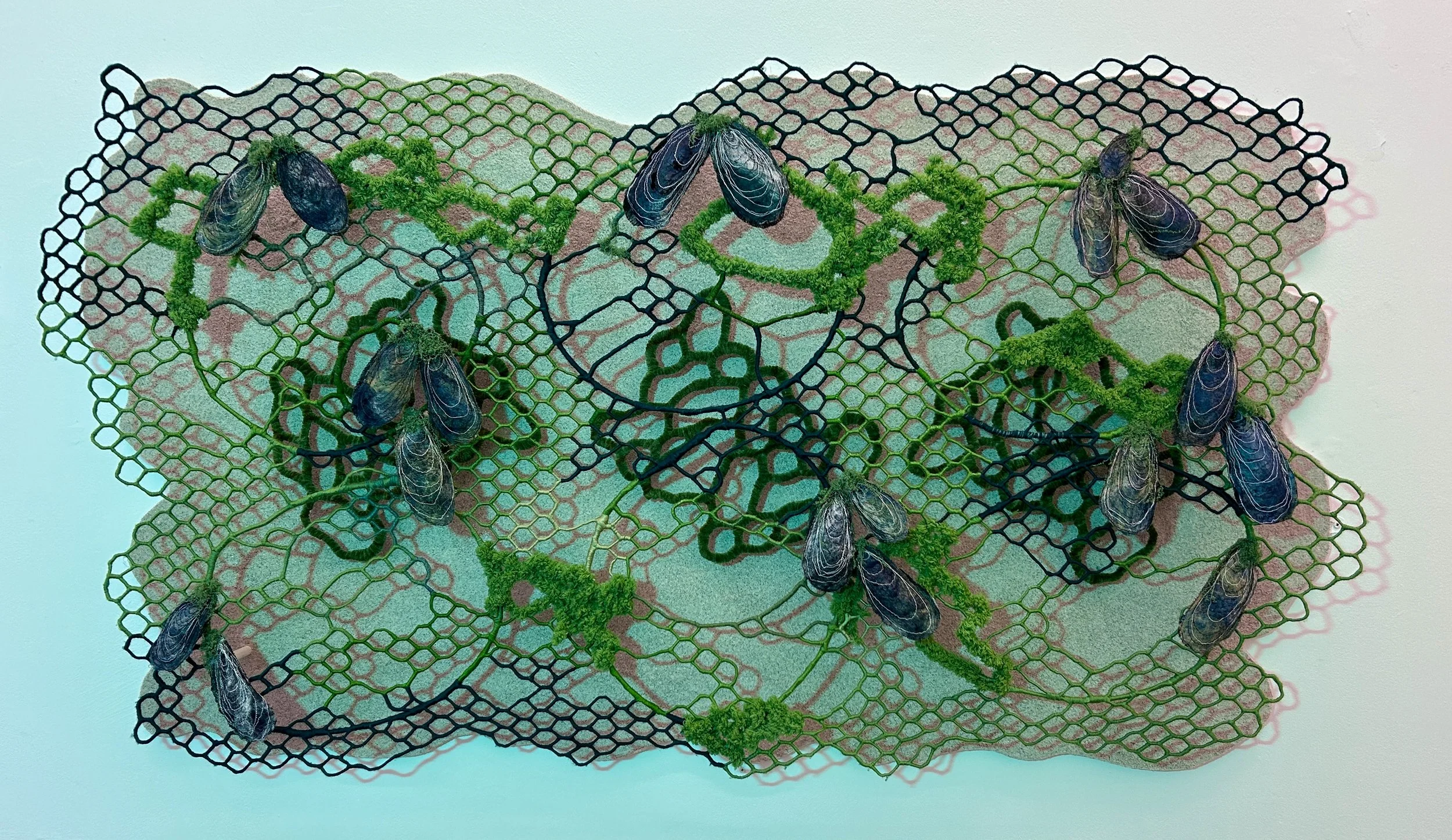 Reflecting on Shadows