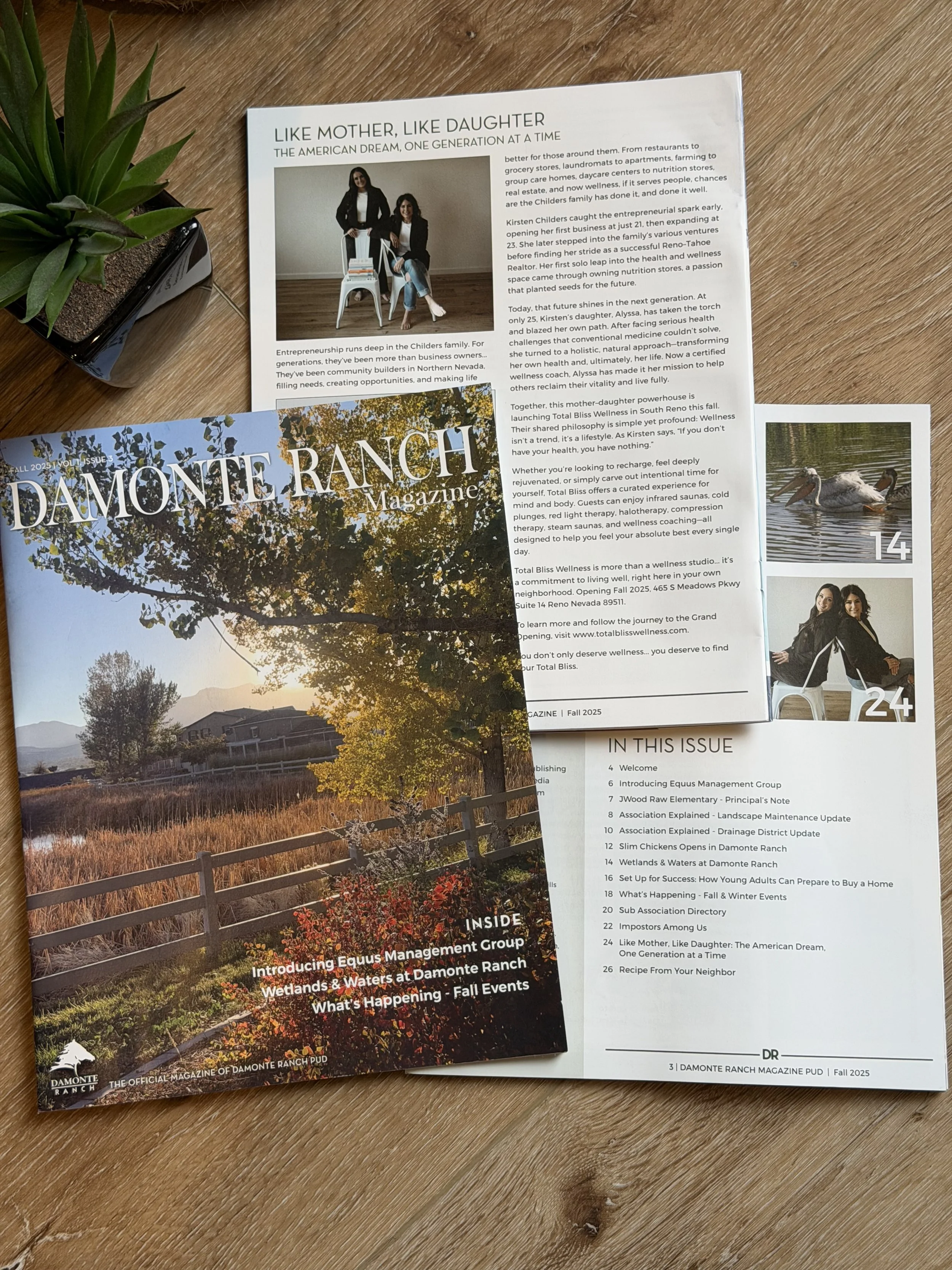 Our Feature in the Damonte Ranch Magazine