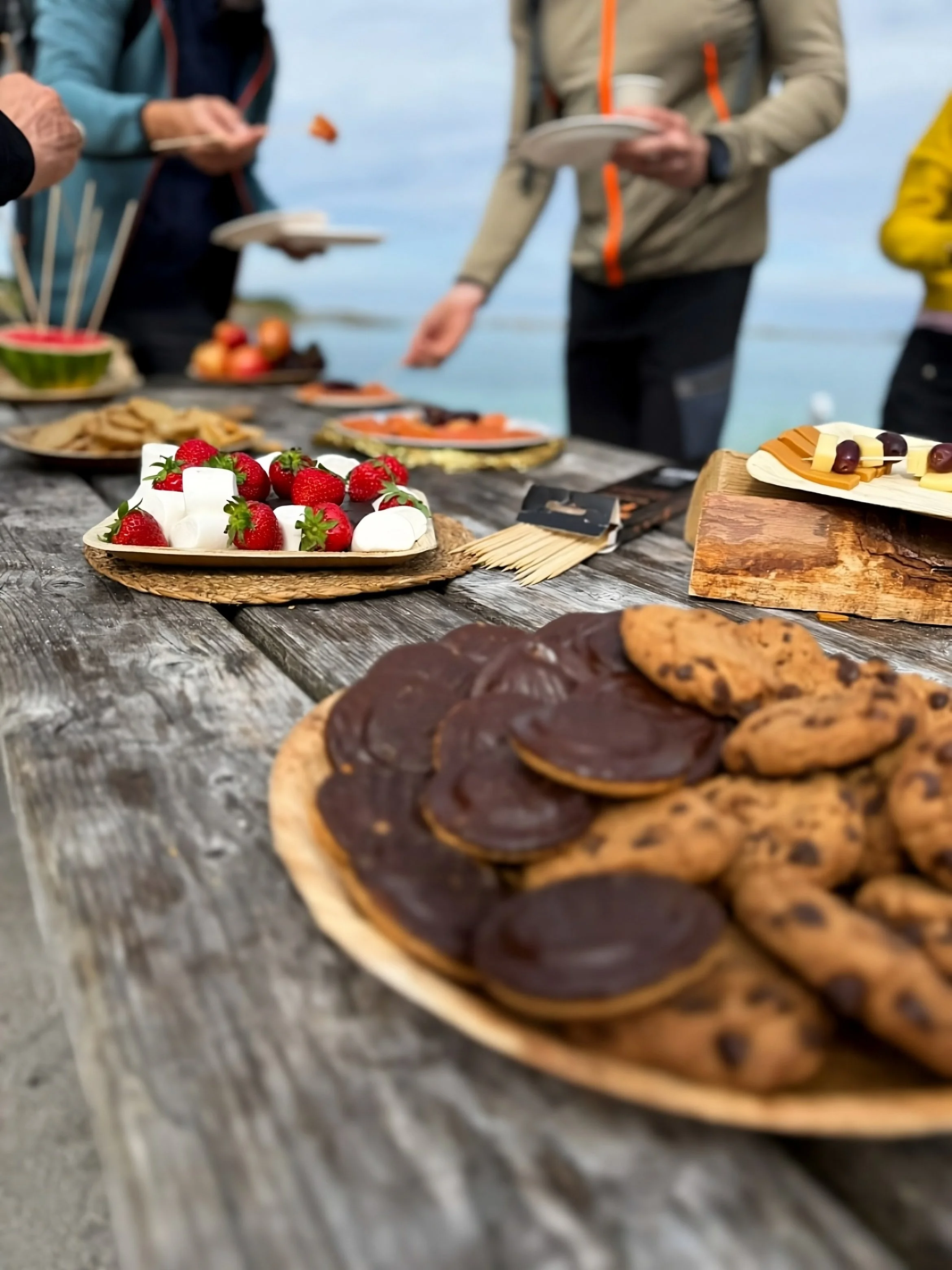 Outdoor buffet table with cookies, strawberries, and other desserts, with people serving themselves in the background near a body of water.