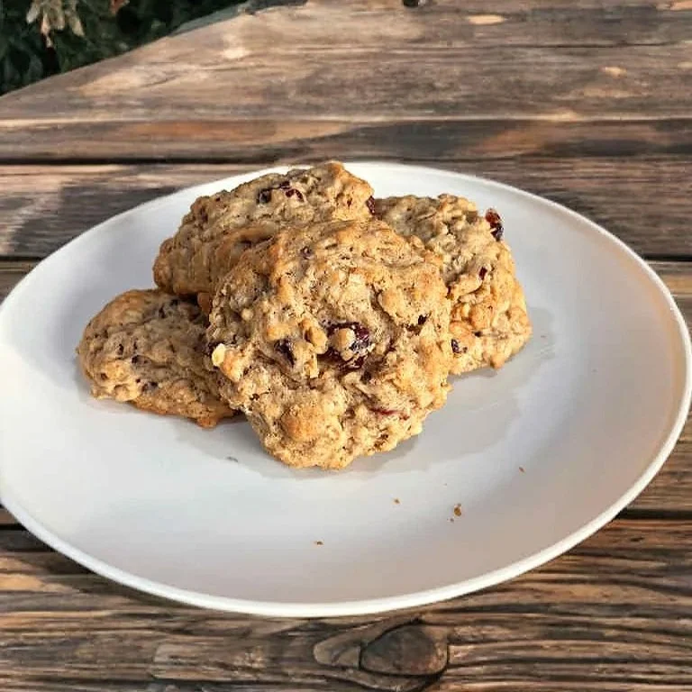 cranberry+oatmeal.jpg