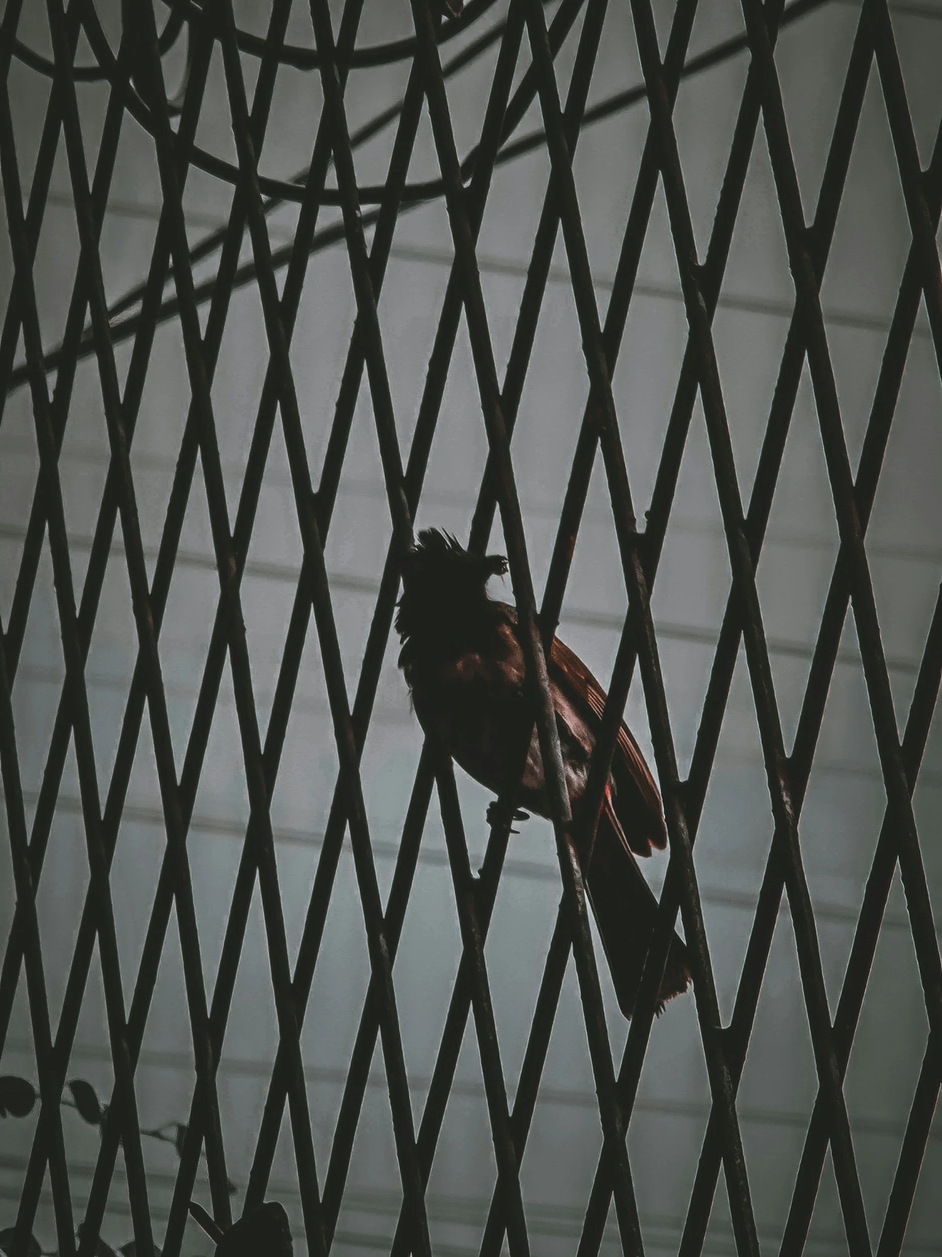 You are not a Captive of Your Thoughts.