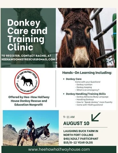 Donkey Care & Training Clinic