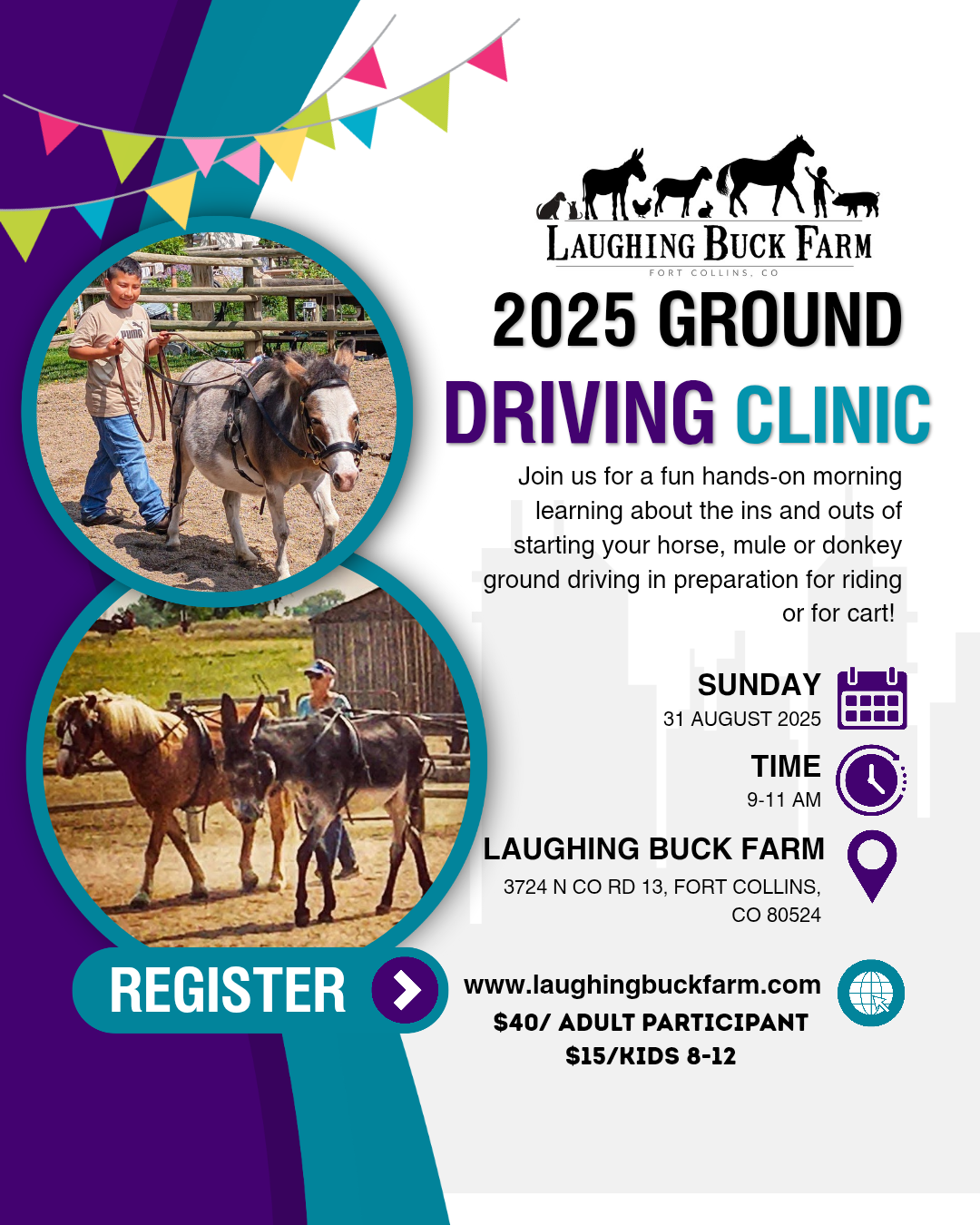2025 Ground Driving Clinic