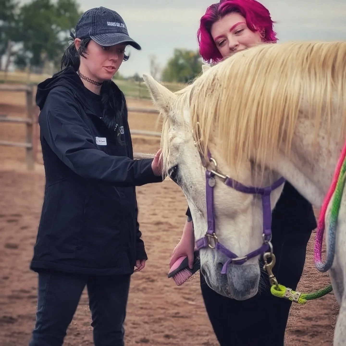 Today's Equine - Assisted LGBTQIA+ Workshop for adults was a beautiful time for connection with horses and humans, focusing on deepening relationship with oneself and others ❤️

#laughingbuckfarm
#friendsoflaughingbuckfarm #lgbtq #lgbtqia #queerspace
