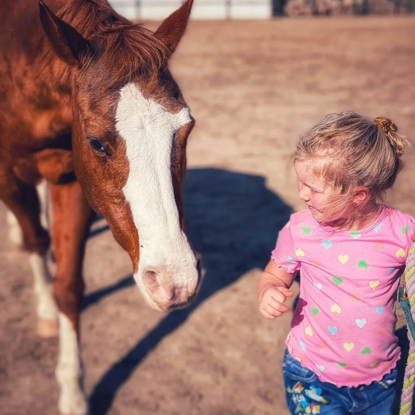 Sweet moments in our riding programs, both adaptive and non adaptive 🐎 

#laughingbuckfarm #friendsoflaughingbuckfarm #fortcollinscolorado #ridinglessons #adaptiveriding #therapyhorses #kidsandhorses #outdooreducation #inclusiveeducation #horsebackr