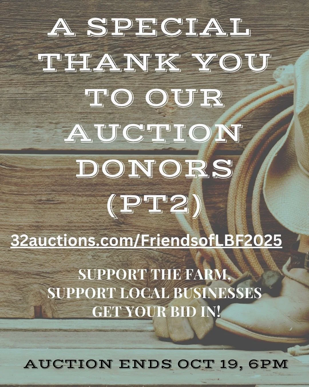 💚 A Huge Thank-You to Our Amazing Online Auction Donors! 💚
(Part two)

 We are so grateful to everyone who contributed items, experiences, and support to our Online Auction! 

The generosity of these local businesses makes it possible for us to car