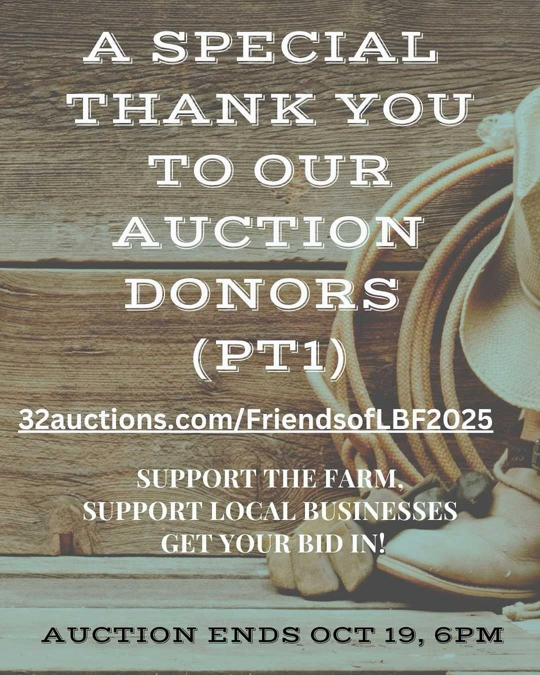 💚 A Huge Thank-You to Our Amazing Online Auction Donors! 💚
(Part one)

 We are so grateful to everyone who contributed items, experiences, and support to our Online Auction! 

The generosity of these local businesses makes it possible for us to car
