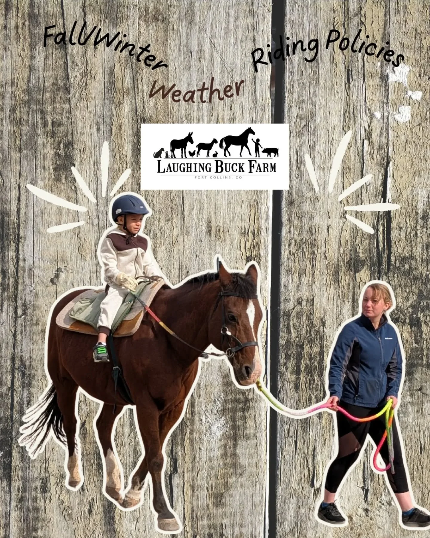 Fall/Winter Riding Policies- our policies regarding inclement weather, cancellations, and ground lessons. ❄️ 

#laughingbuckfarm
#friendsoflaughingbuckfarm
#winteriscoming #winterweather❄️ #fortcollinscolorado #allweatherlearning #outdooreducation #g
