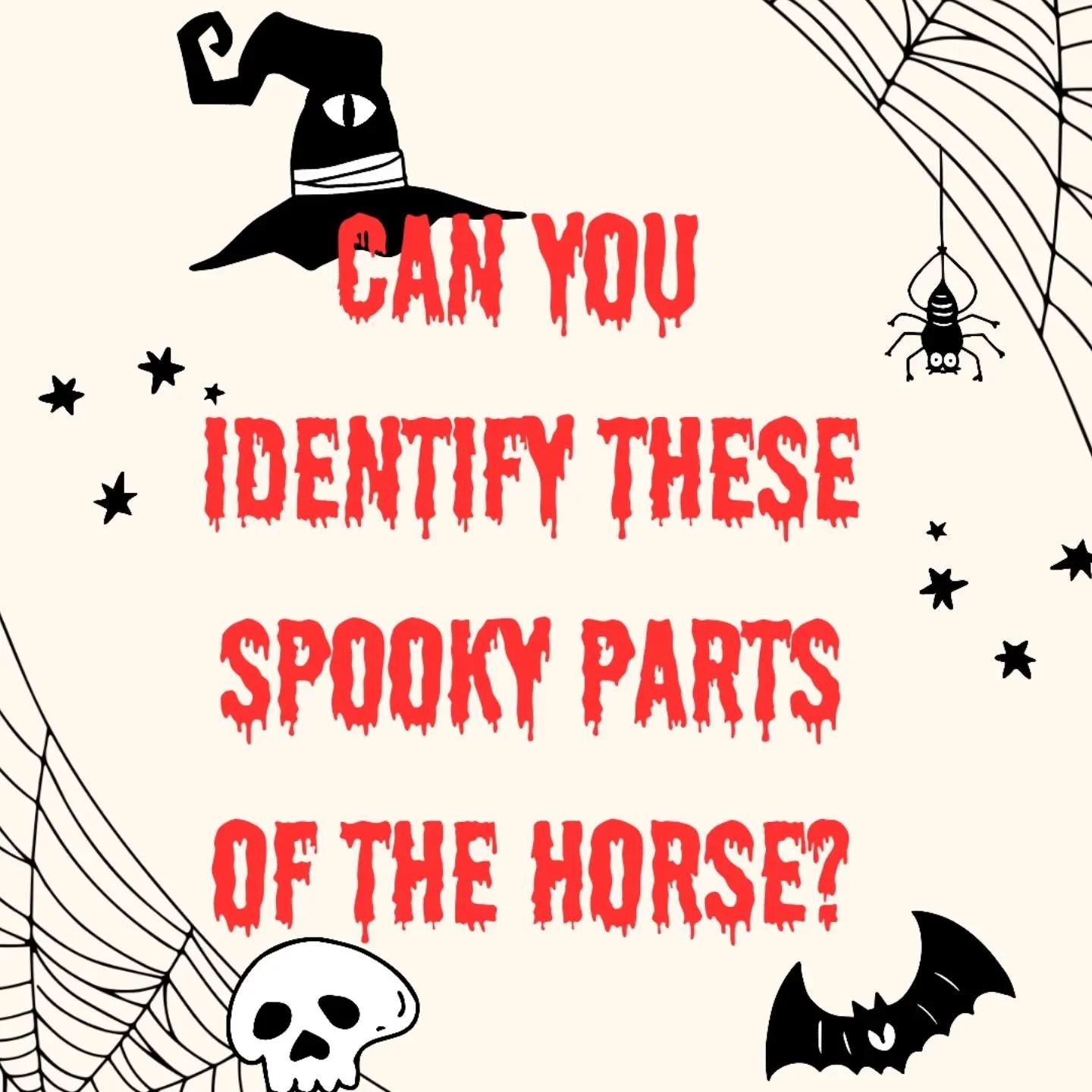 Can YOU identify these SPOOKY parts of the horse?! 🎃 

1. Foal slippers- a rubber covering on newborn foals' hooves that protect their dam's womb and birth canal during foaling. They shrivel up and fall off soon after birth. 

2. Ergot- a vestigial 