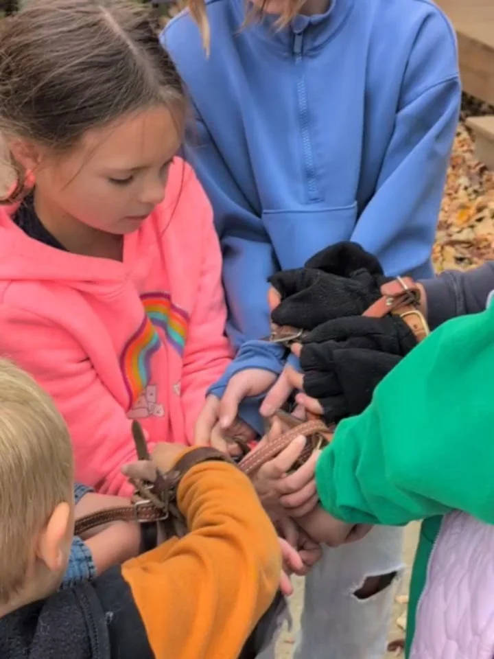 Fun during Thursday Morning Homeschool Equestrian Club - learning about buckles, some trivia games in riding class, and a teamwork activity untangling each other!! 

#laughingbuckfarm #friendsoflaughingbuckfarm #homeschooling #equestrianclub #ridingl