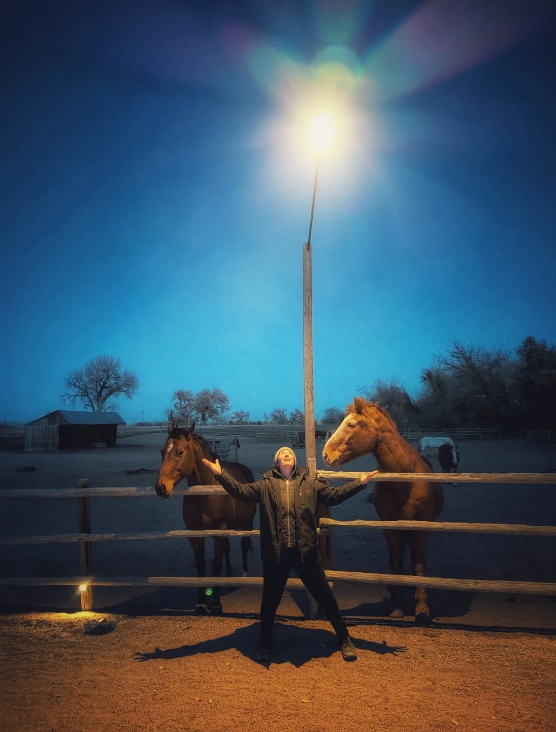 Instructor Rachel's annual ode to the arena lights! Every year. She takes a picture like this making sure that everybody knows she appreciates that there are arena lights for our dark days! 

#laughingbuckfarm #friendsoflaughingbuckfarm #arenalights 
