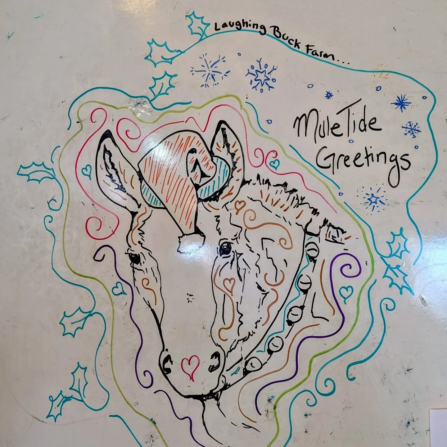 Muletide Greetings from all of us at Laughing Buck Farm 🎄🎁 ❄️ 

#laughingbuckfarm #friendsoflaughingbuckfarm #nonprofit #fortcollinscolorado #inclusiveeducation #outdooreducation #funonthefarm #farmcamps #farmschooling #allabilitieswelcome #adaptiv