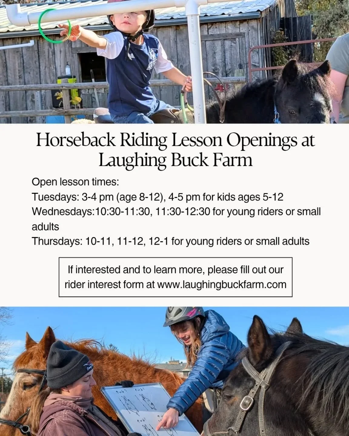 We have lesson openings! 

If interested, head to our website and fill out our interest form in order to be contacted.

Lessons at LBF are focused on connection, skill building, and social and emotional regulation. We don't just teach riding, we teac