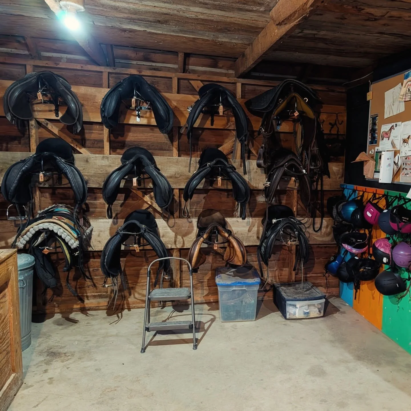 Check out the hard work Gray and Greg have done in the tack room to fit more saddles and organize everything! Wowza! 

#laughingbuckfarm #friendsoflaughingbuckfarm #tackroomgoals #adaptiveriding #ridinglessons #barnmanager #hardwork #fortcollinscolor
