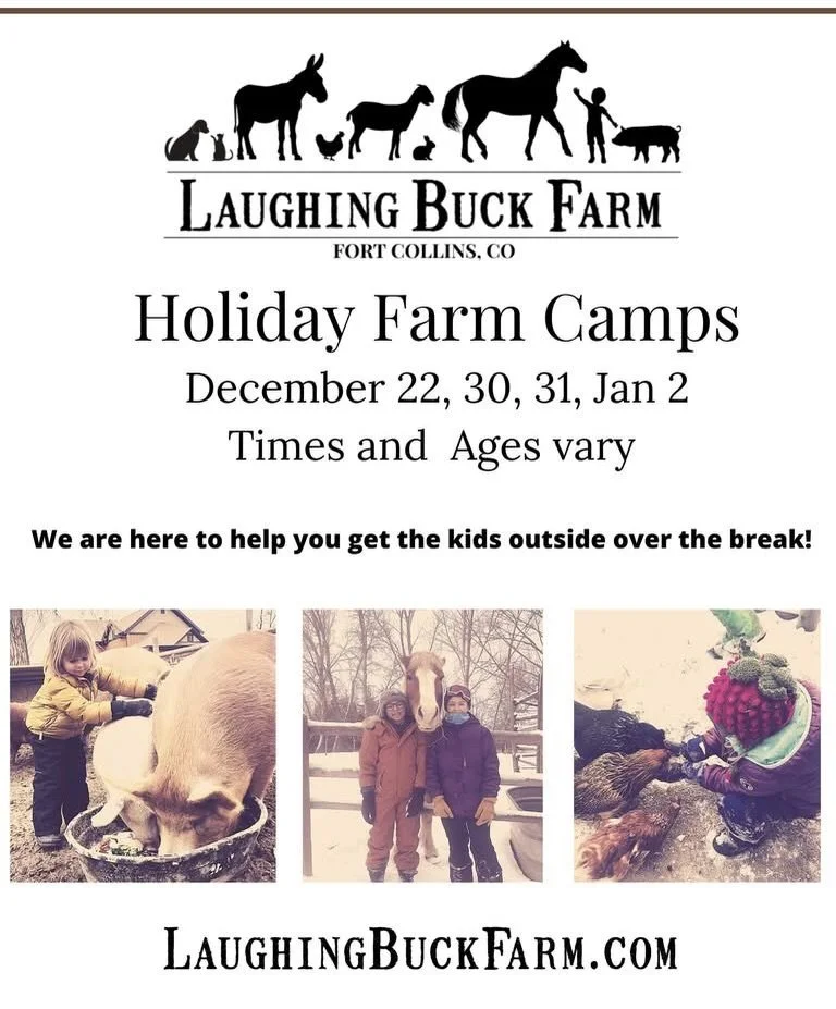 We are here to help you get the kids outside over the winter break!

Learn more and register at www.laughingbuckfarm.com

Monday Dec 22  Winter Solstice Nature Art Camp 
1PM-4PM *  Ages 8+

Tuesday  Dec 30  Animal Lovers Camp (Holiday Camp)
 9:30 - 1
