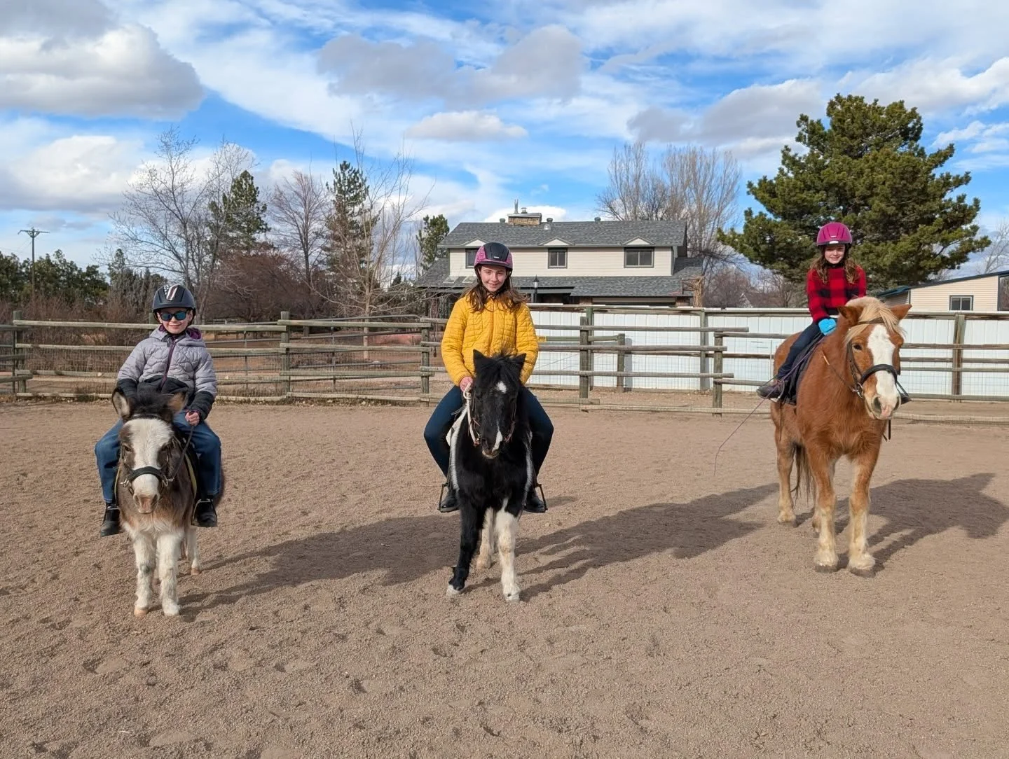 Some lesson pony cuteness ! And, we are enjoying our newly painted poles. Some were painted by Ashley, one of our students, with her friend Abby, and some were painted by Gray and Rachel. They really brighten up the arena. 

#laughingbuckfarm #friend
