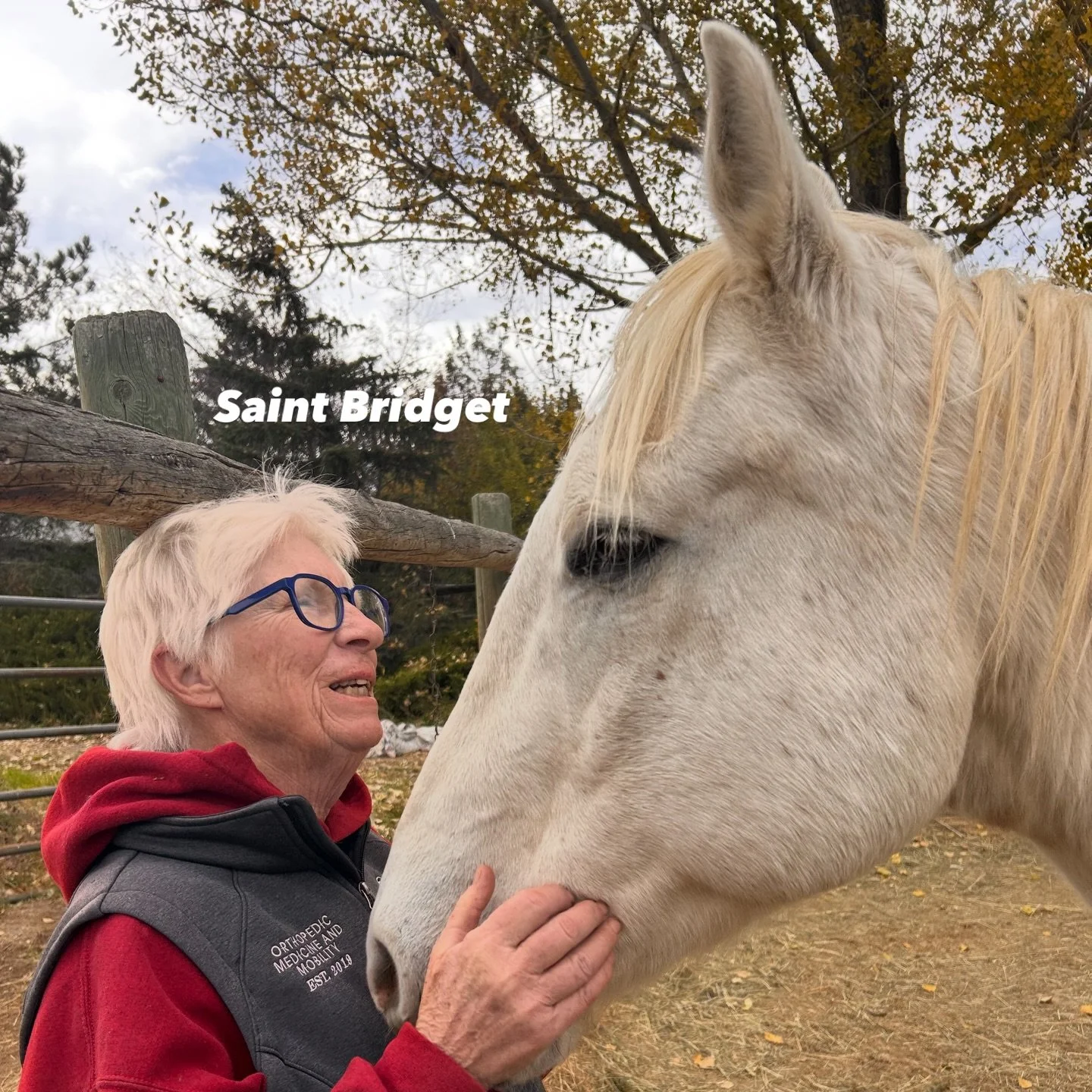 This is an to ode to my beautiful neighbor who I refer to as Saint Brigette. 

Last year one of Brigette&rsquo;s  horses passed away, and she asked if we had a companion horse that she could have to keep her horse Dexter company . We offered  sweet C