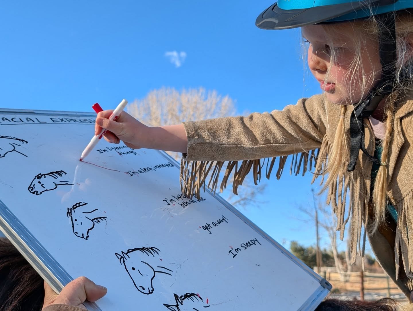 Lots of learning on the farm: learning about horse expressions, equines learning about new friends, and horses and ponies learning from our experienced students! 

#friendsoflaughingbuckfarm #laughingbuckfarm #ridinglessons #horsesandmules #outdoored