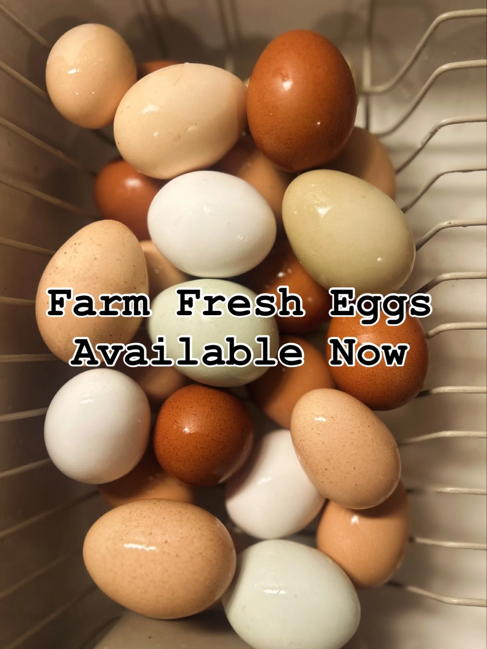 We got some new bearers and production is up. Get your farm fresh eggs for $6 per dozen. 
🐔🥚🐓