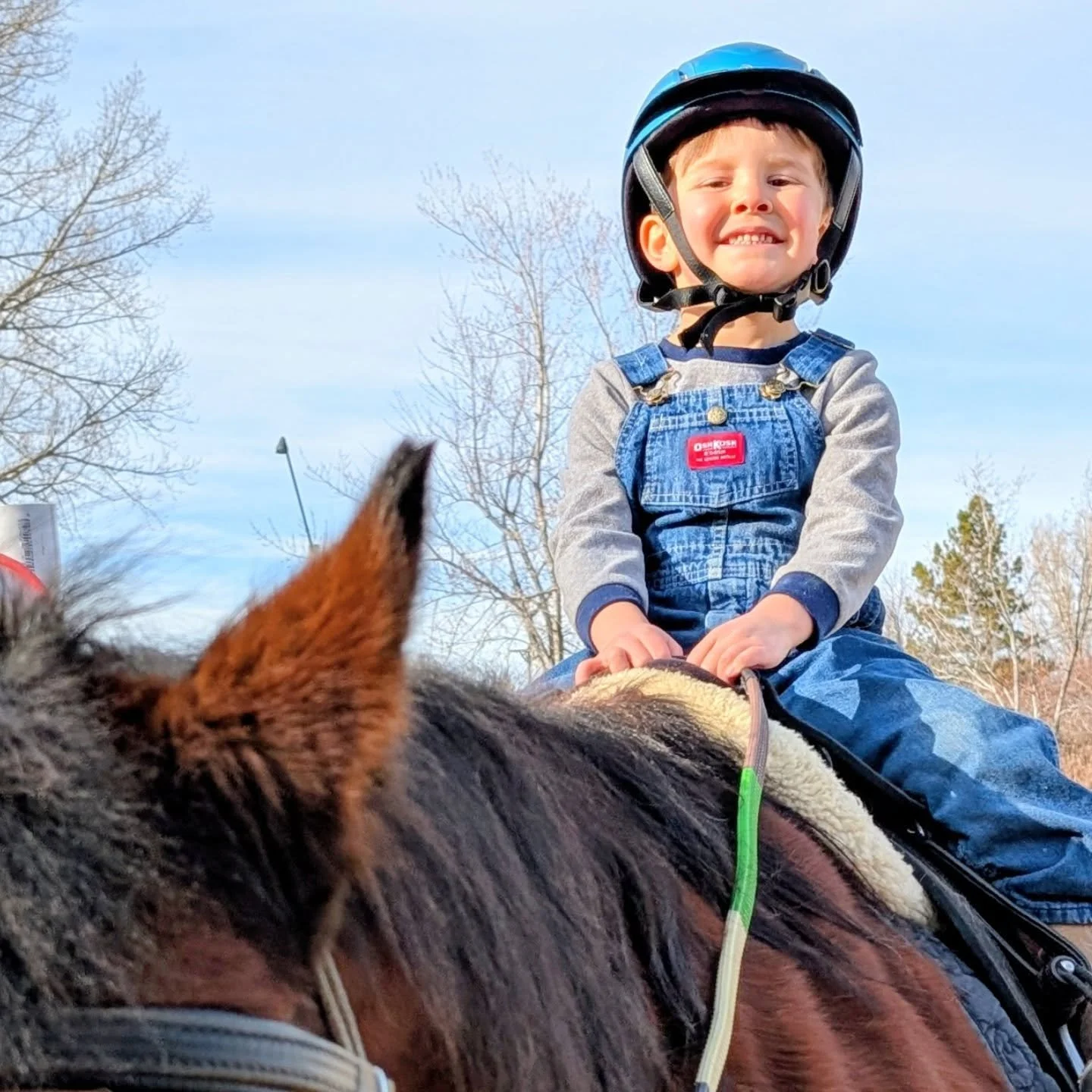 More happy students in our riding programs! 

#laughingbuckfarm #friendsoflaughingbuckfarm #ridinglessons #adaptiveriding #allabilitieswelcome
