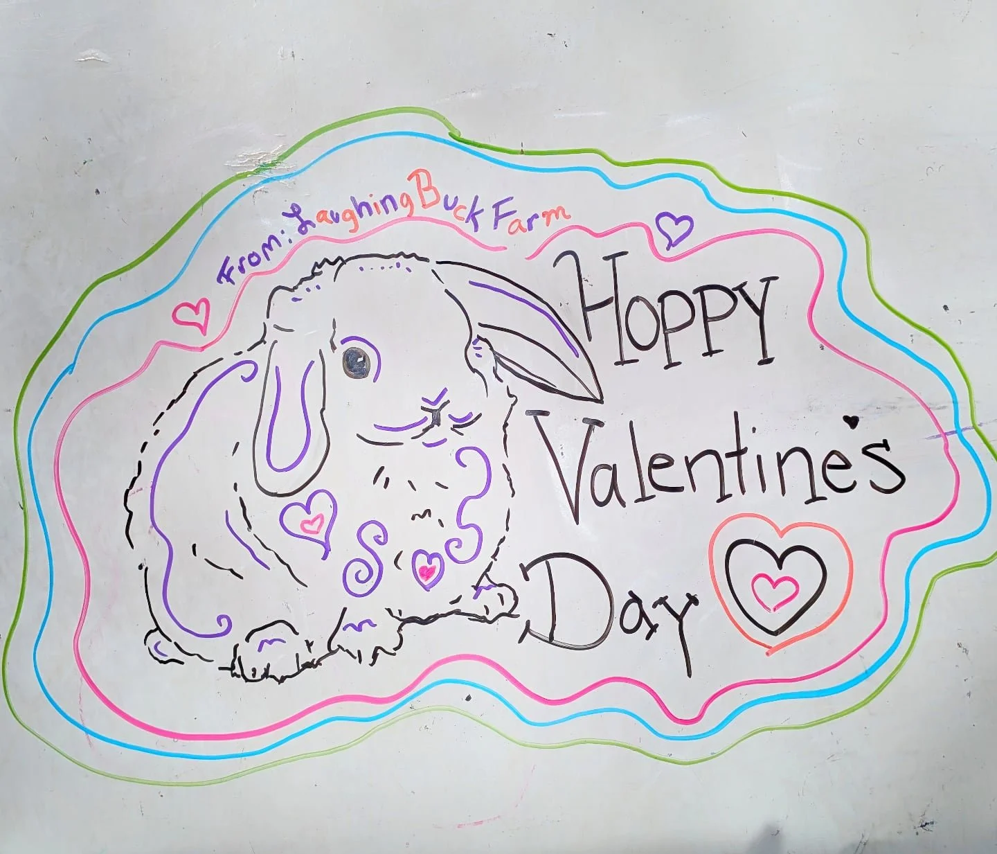 Newest whiteboard art by instructor Rachel: Hoppy Valentine's Day from all of us at the Farm! ❤️ 

🐇

#laughingbuckfarm #friendsoflaughingbuckfarm #allabilitieswelcome #outdooreducation #whiteboardart