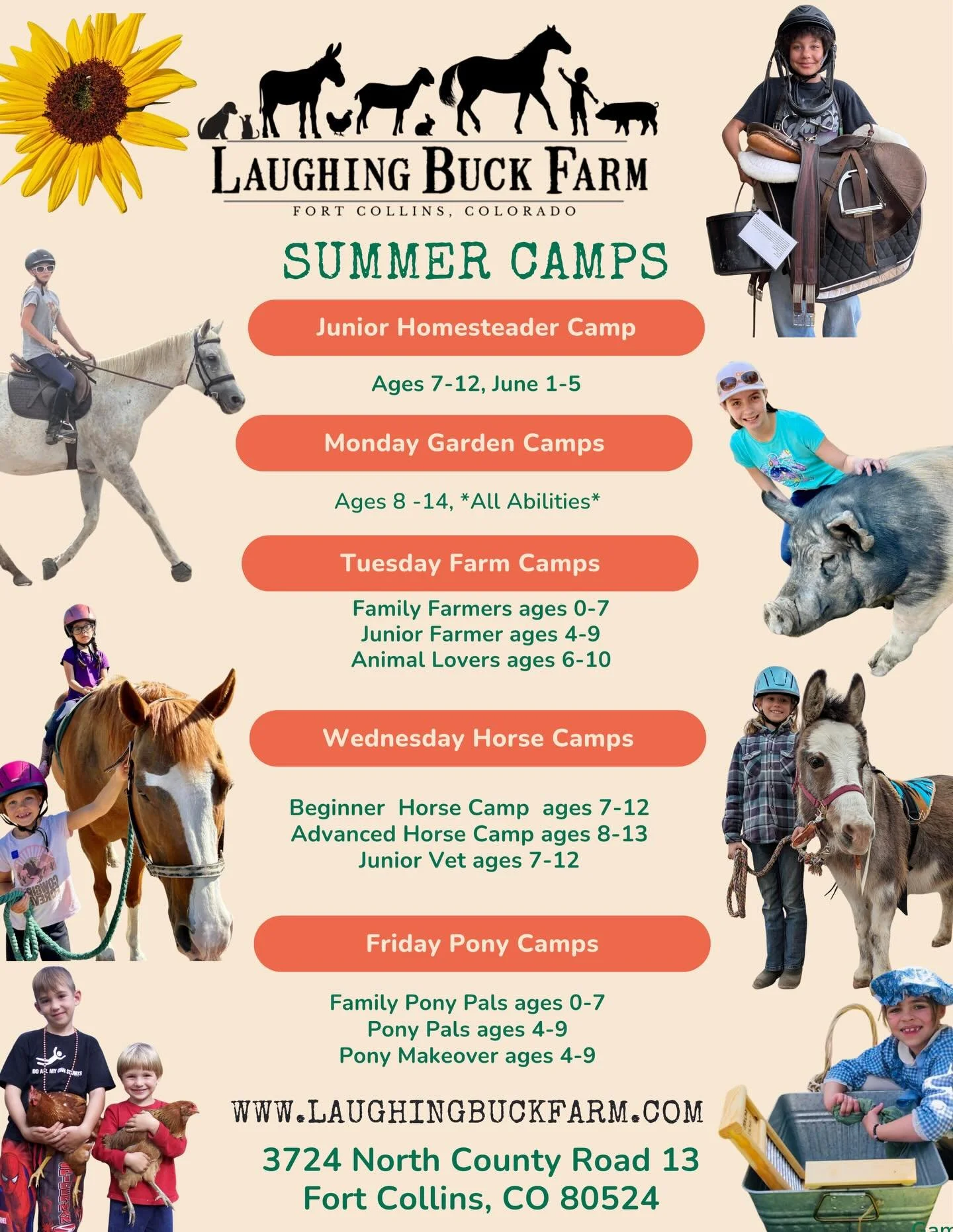 Sneak peak of 2026 summer camp offerings. 🐔🐴🐷🫶🏻🐷

More details coming this week so keep checking in. 

#fortcollins #laughingbuckfarm #summercamps