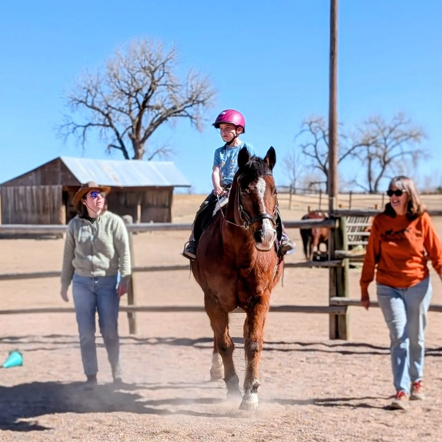 Some happiness in Adaptive Riding Classes plus our newest whiteboard art by Instructor Rachel 🎨 

#adaptiveriding #friendsoflaughingbuckfarm #laughingbuckfarm #fortcollinscolorado #whiteboardart