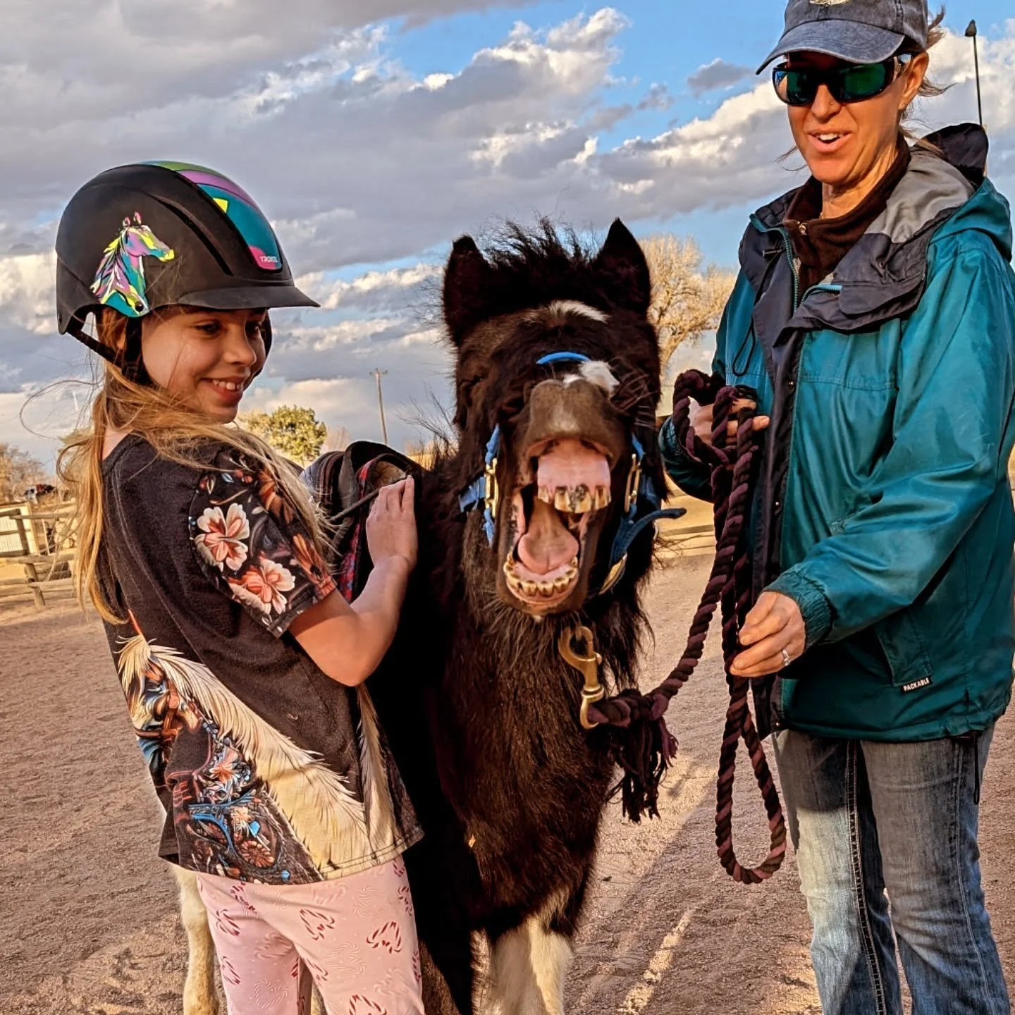 Instructor Rachel is implementing "Massage March" where each riding student learns a type of massage or body work for horses each week before they ride in their lesson. This week is Masterson method, which is based in ancient Chinese energy