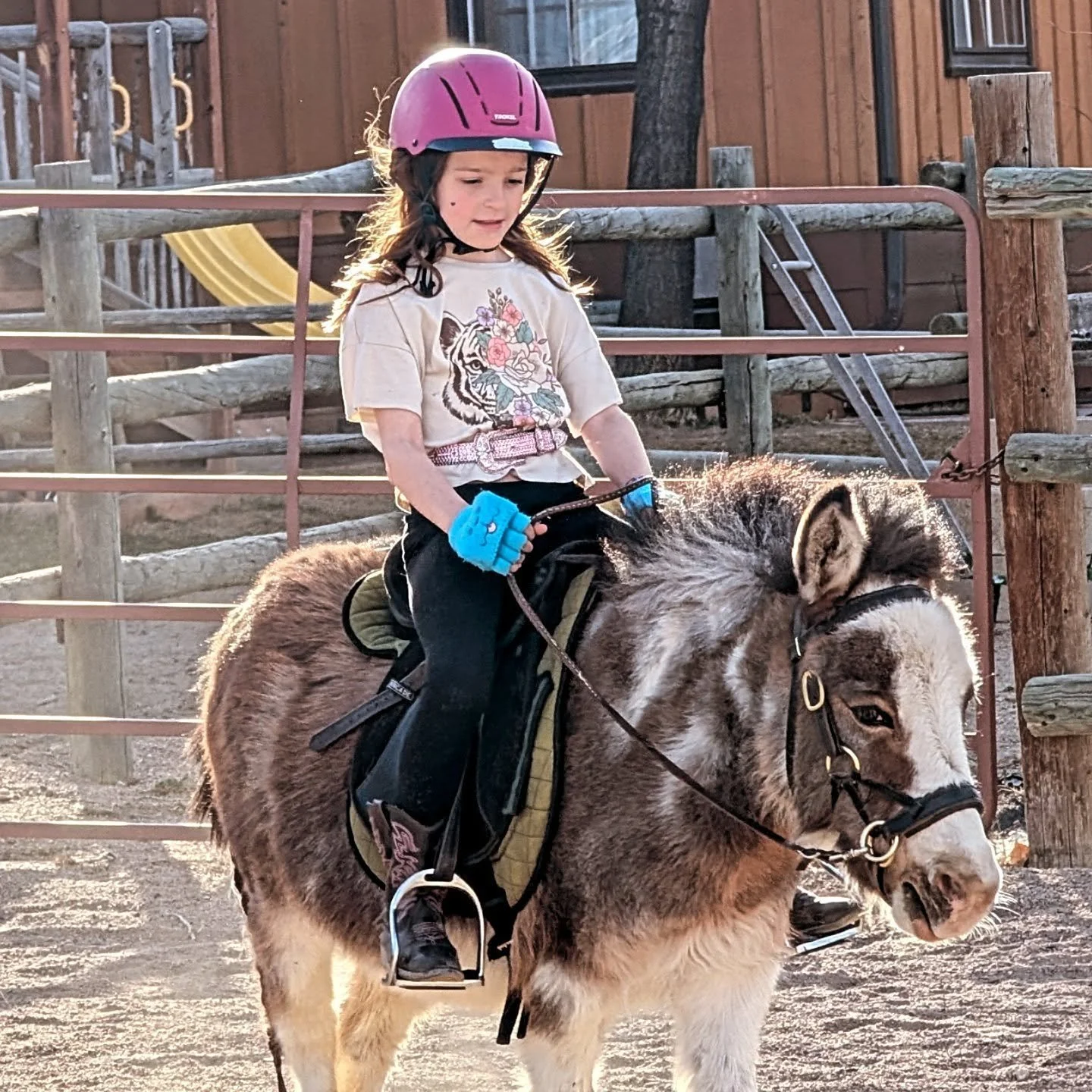 Happy students on the farm ❤️🐴

#laughingbuckfarm #friendsoflaughingbuckfarm #farmlife❤️ #fortcollinscolorado #ridinglessons