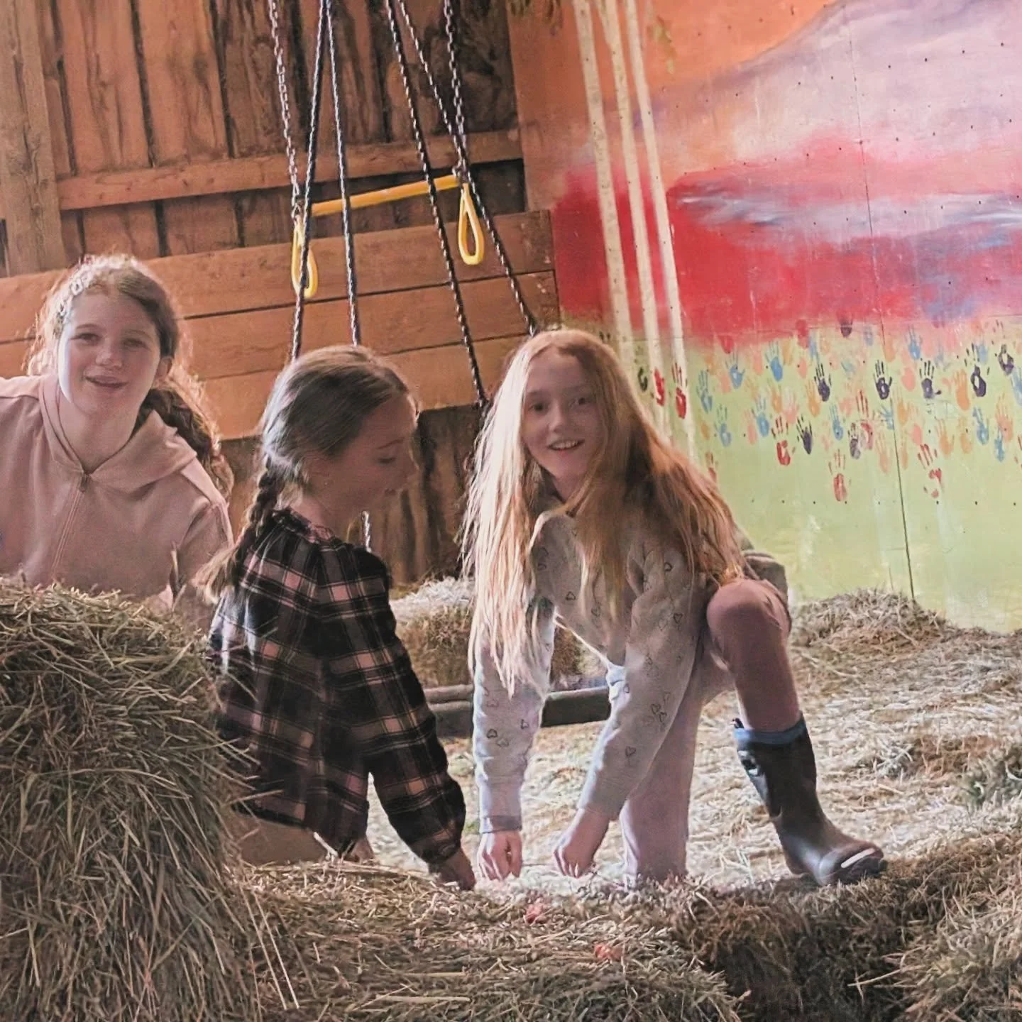 Some of our awesome Saturday students plus some Spring Equestrian Club kiddos returning for Saturday evening fun! We have openings in our Saturday EQ Club for ages 8+! Two hours of horse time- riding, learning, friendship, and the joy of hard work! 
