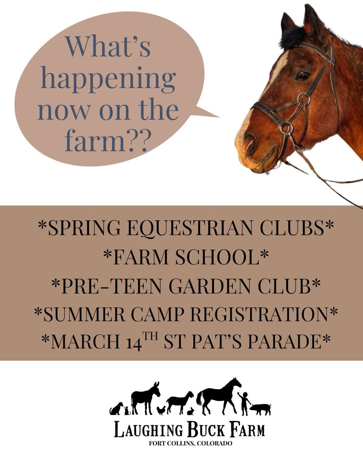 So much happening NOW on the farm. Read all about our Spring and Summer offerings. 🐷🐔🦋🐴🐖

*Spring Equestrian Clubs for ages 5-7 and 8 and up
*Farm School for ages 1-10
*Pre-Teen Garden Club
*Spring and Summer Camp Registration for all ages
*Look