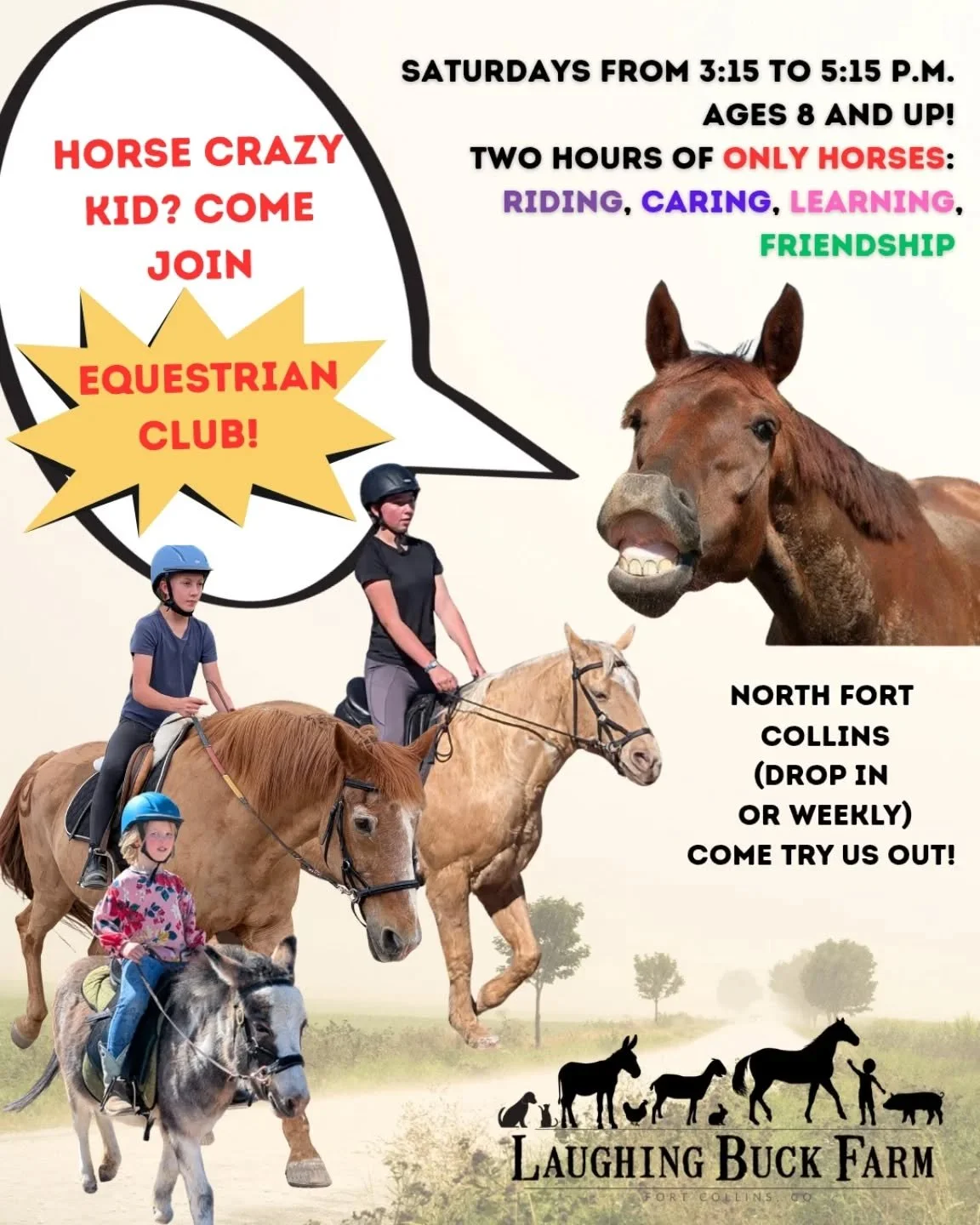 Do you have a kid who has been bitten by the horse bug? We have a club for that! 

Equestrian Club is 2 hours Saturday afternoons of "horse only" time: riding, grooming, tacking, horse learning, and horse care! 

Find friendship, bond with 