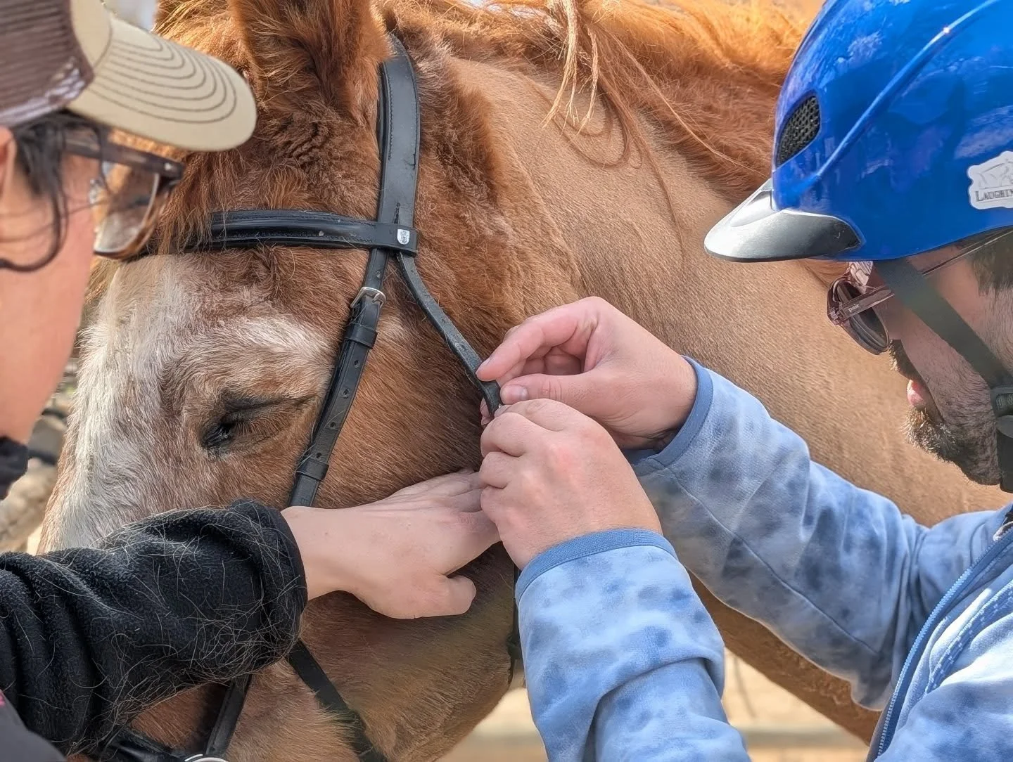 April is all about Adjustments! Riding students are learning the finer points of how and why you adjust tack correctly for yourself and the equine. 

Students are also learning about Adjustments in the saddle, starting with how and when you adjust th
