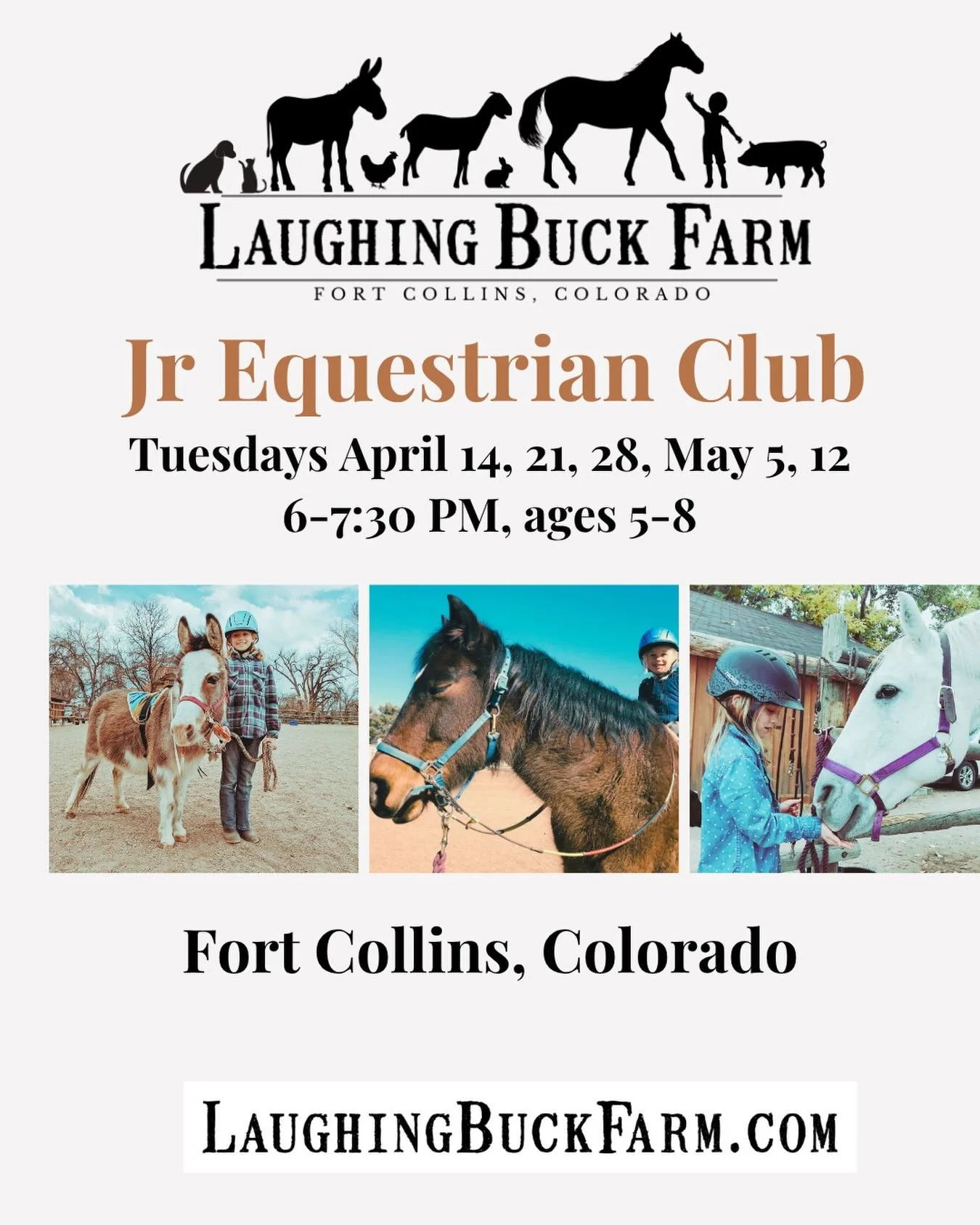 We have a few spots left in our spring junior equestrian club, perfect for the horse crazy younger kids, 5 to 8 years old. 

A parent or caregiver must accompany a child to help with leading sidewalking, etc. to keep everyone safe and learn alongside