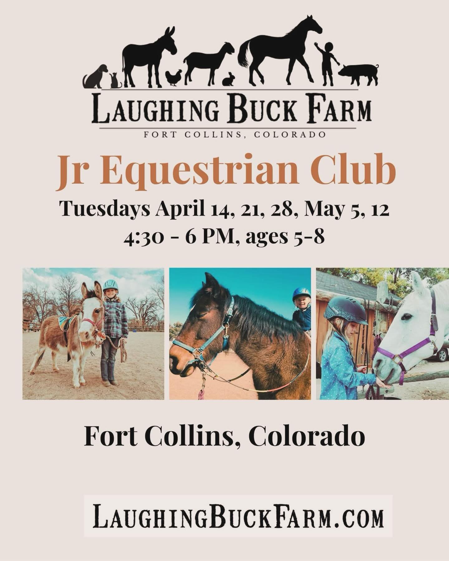 New group for horse loving younger kiddos at Laughing Buck Farm in North Fort Collins. 

Perfect for horse-crazy kids ages 5&ndash;8, this drop-in pony club is all about fun and learning &mdash; no experience needed! 🐴

We&rsquo;ll explore horse car