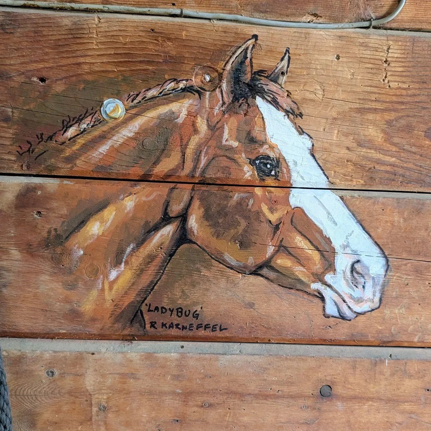 When you are at the farm next, stop by Ladybug's old stall and check out the memorial portrait of her that instructor Rachel painted! We miss this lovely old gal! 

#laughingbuckfarm #friendsoflaughingbuckfarm #lessonhorse #memorialportrait