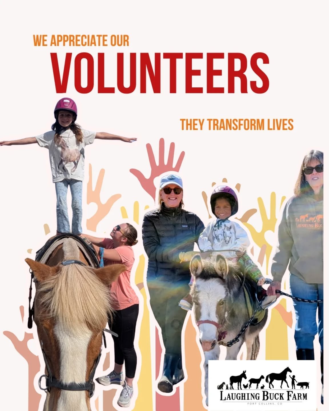 For National Volunteer Appreciation Week, we would like to take a moment to share how vital our amazing volunteers are to our farm programs - not only helping in our adaptive riding classes, but also caring for animals, working hard to help the garde