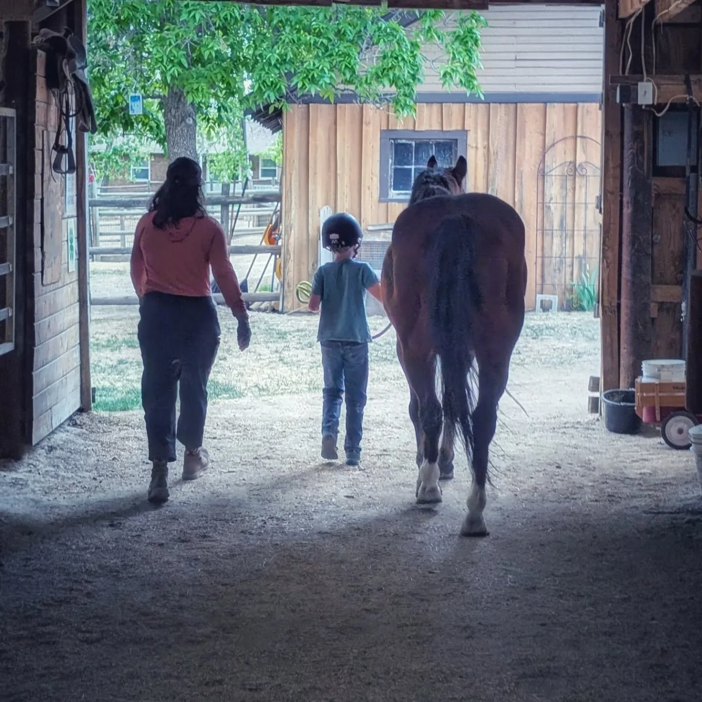 Just some awesome moments captured with our volunteers and adaptive students! Mentorship is a big part of our programming and very valuable to both volunteers and students. 

#laughingbuckfarm #friendsoflaughingbuckfarm #mentorship #volunteering #ada