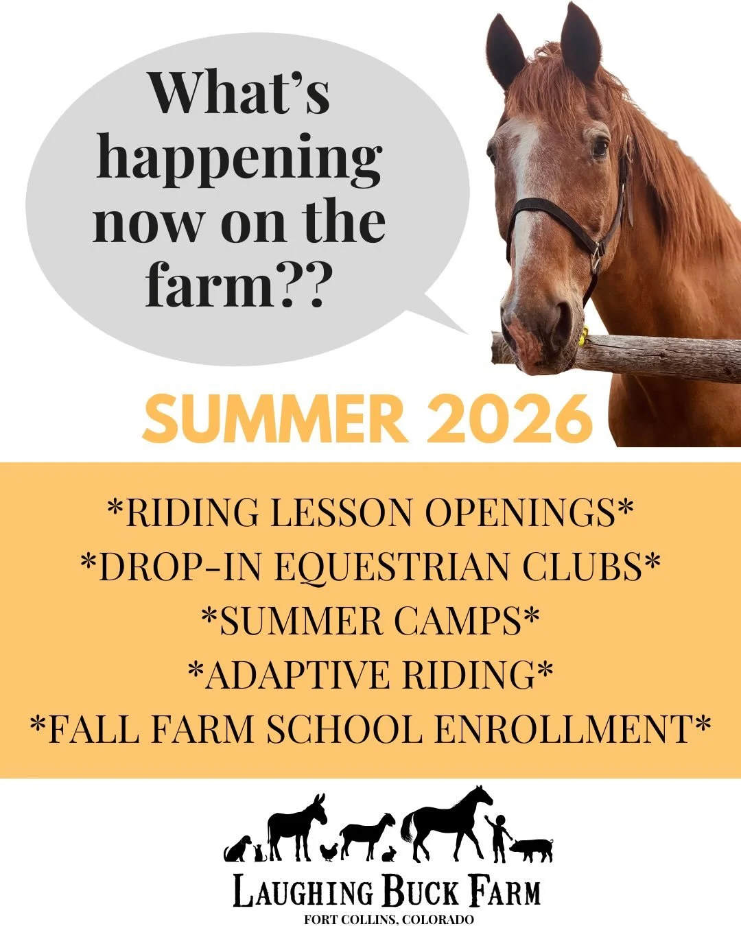 ✨Summer Community Offerings at Laughing Buck Farm✨

We are an educational, all abilities farm with programs for kids from 1 to 99 in Fort Collins, Colorado. 

We offer:
*Therapeutic riding lessons
*Horse lessons
*Daytime drop-in farm classes 
*Educat