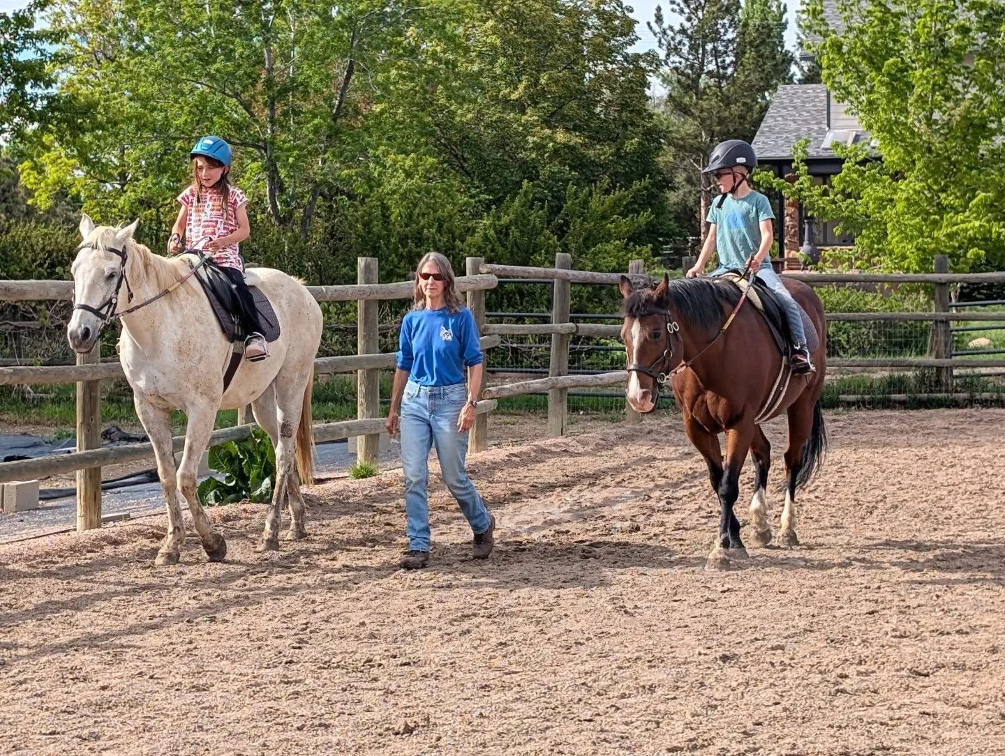 Some adaptive classes and a new whiteboard art by instructor Rachel! 

Hope everybody has a fabulous memorial Day weekend and it is toad-ally awesome! 

#laughingbuckfarm #friendsoflaughingbuckfarm #adaptiveriding #whiteboardart #fortcollins
